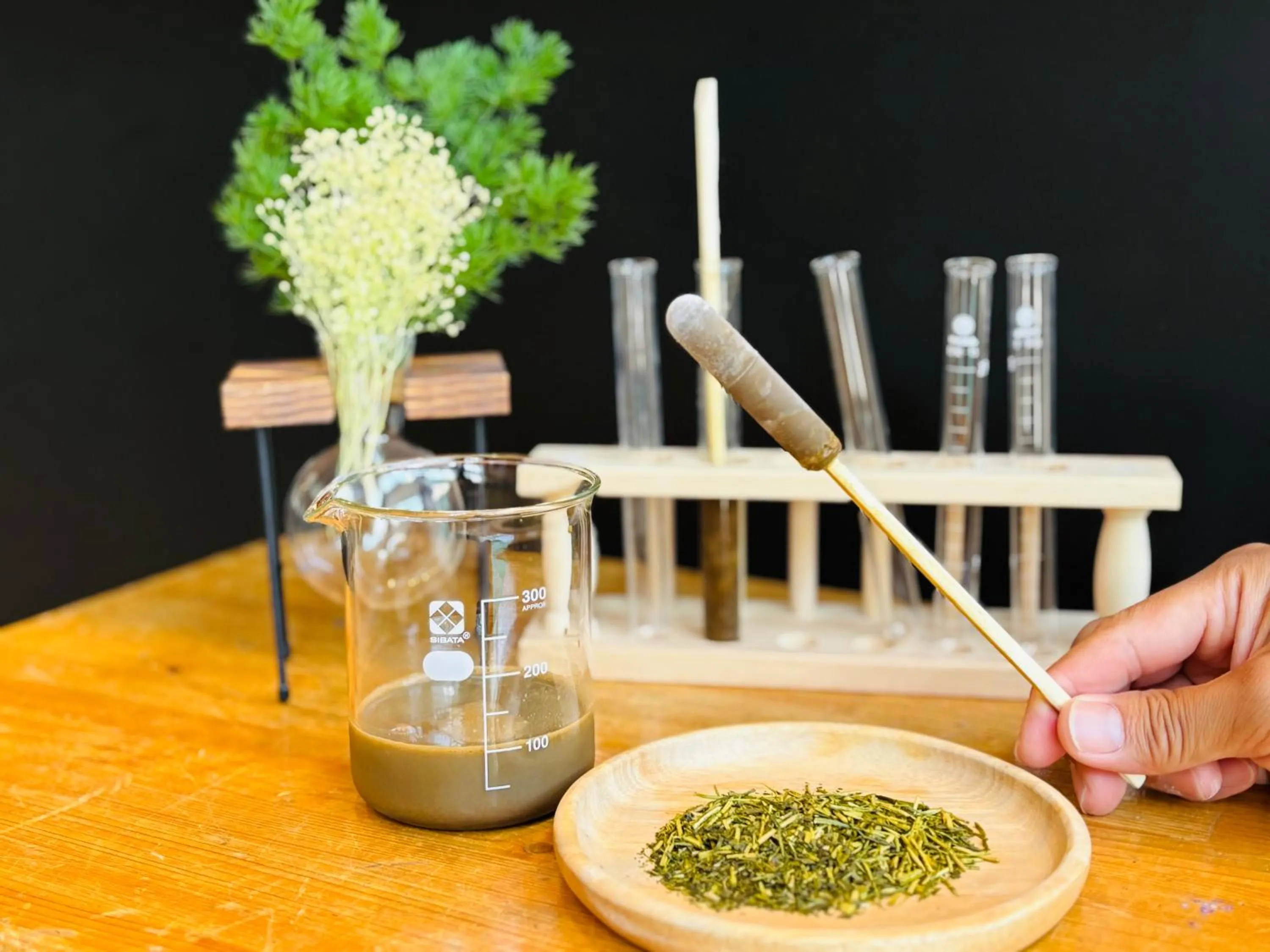 Activities in Glamping&Port結