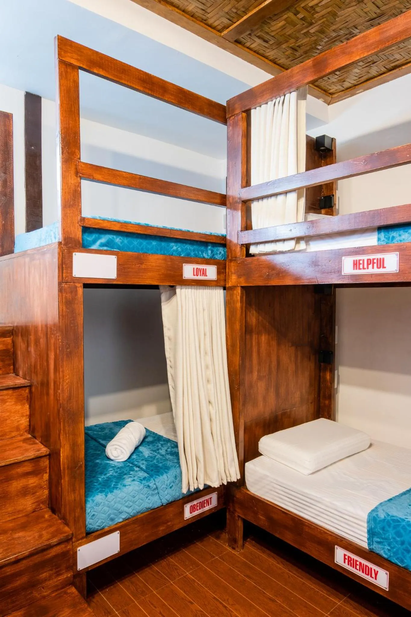 bunk bed, Bed in Public House Hostel