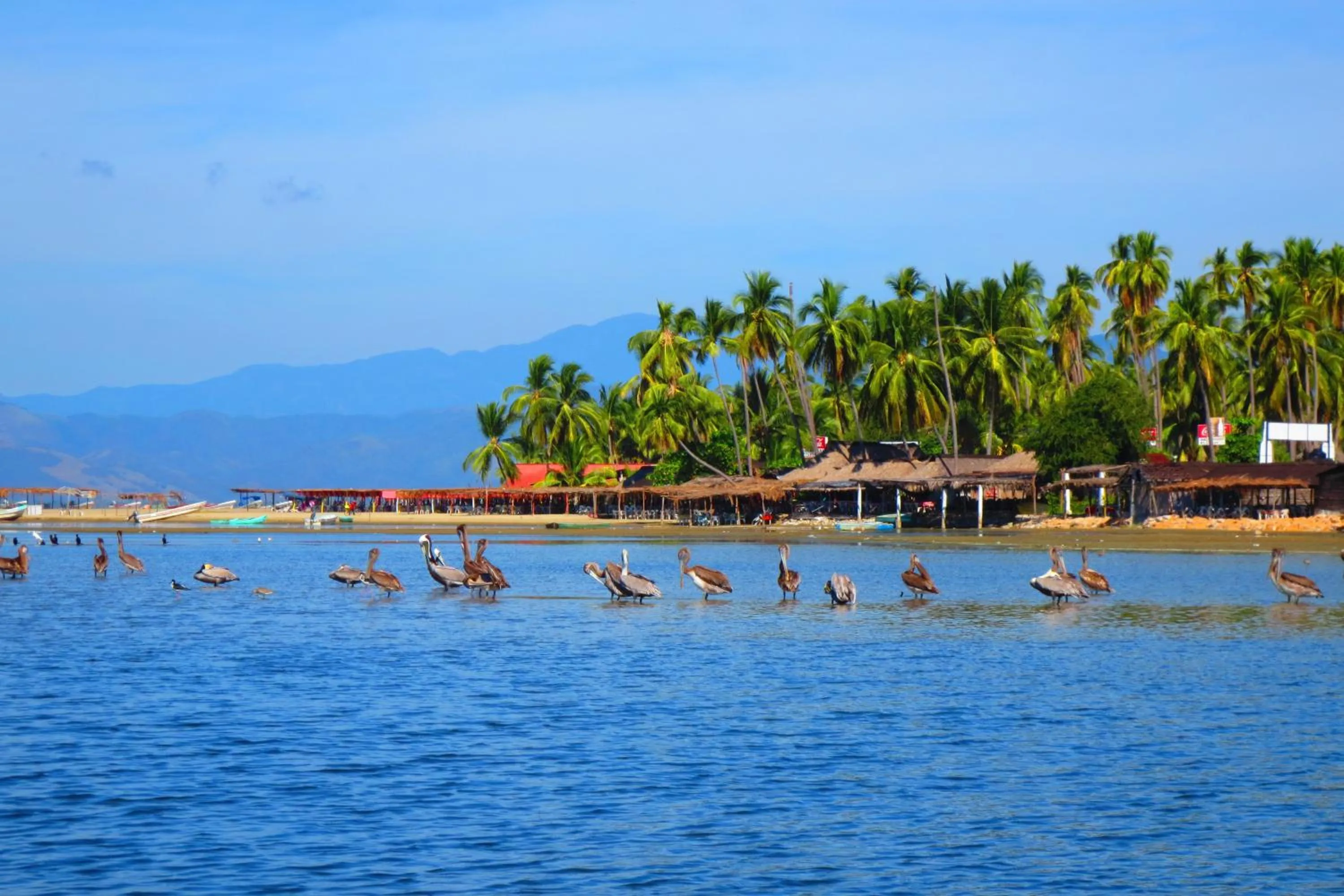 Restaurant/places to eat in Hacienda La Rusa