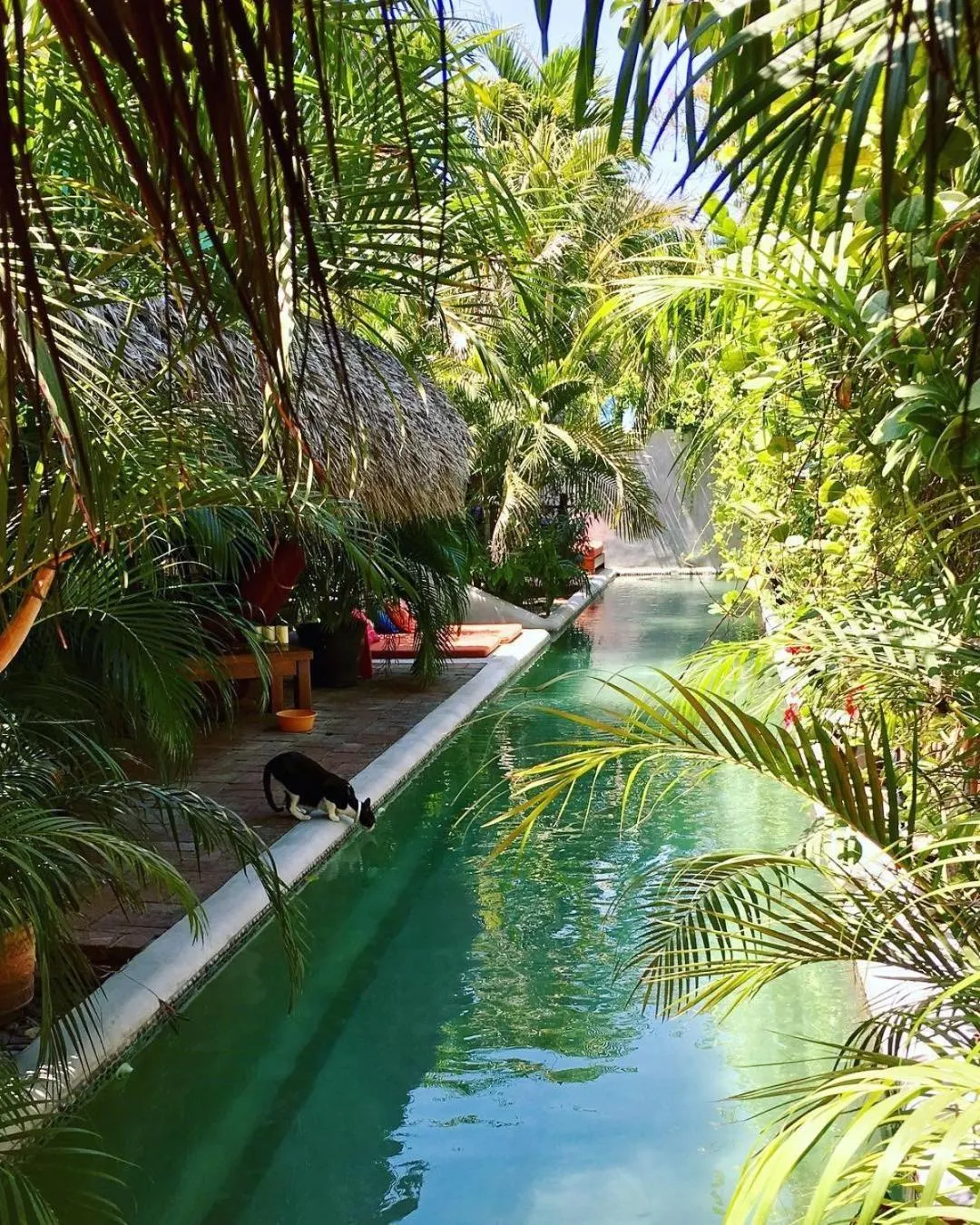 Pool view in Hacienda La Rusa