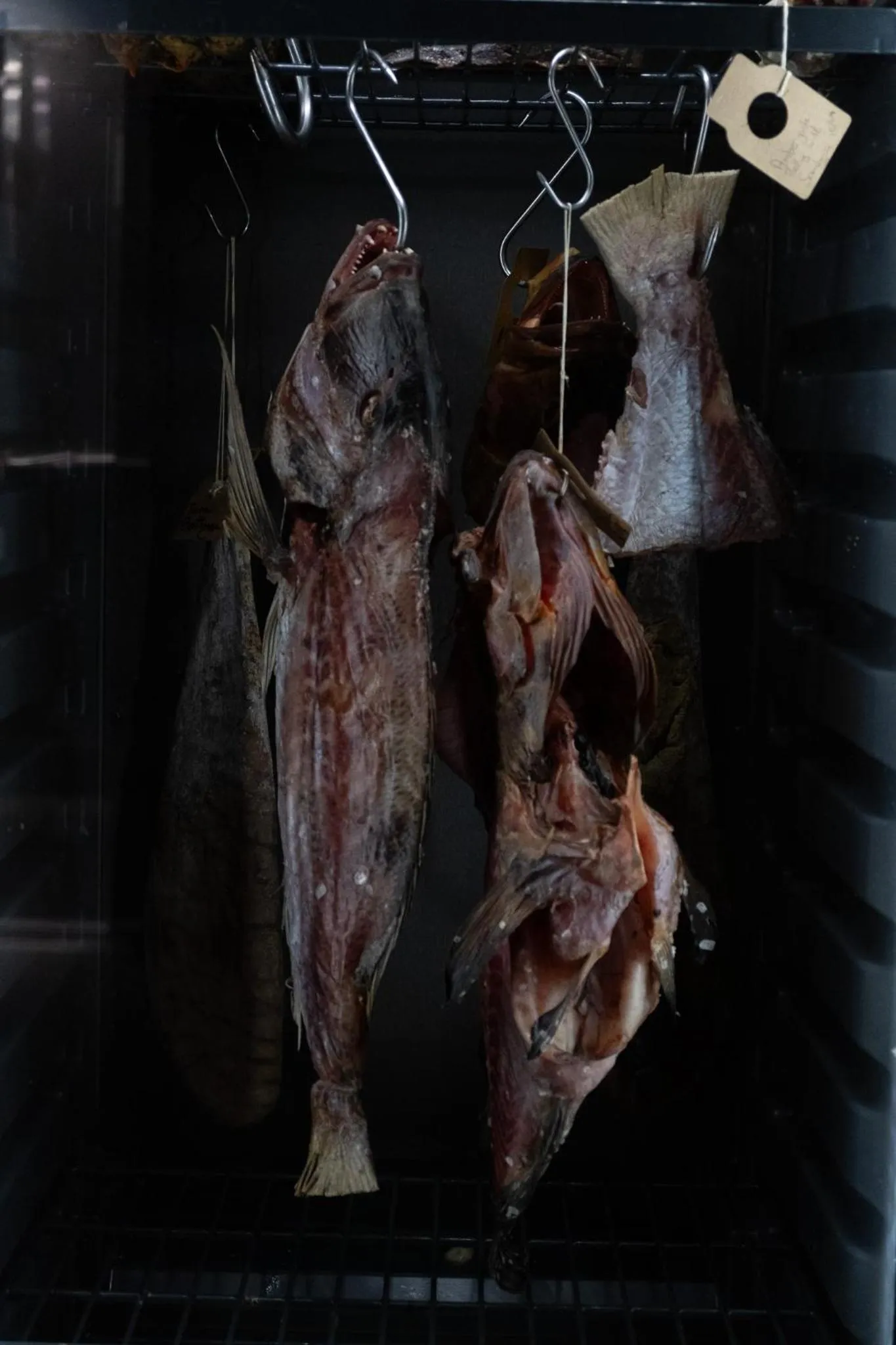 Restaurant/places to eat in Deep Blu Boutique Hotel