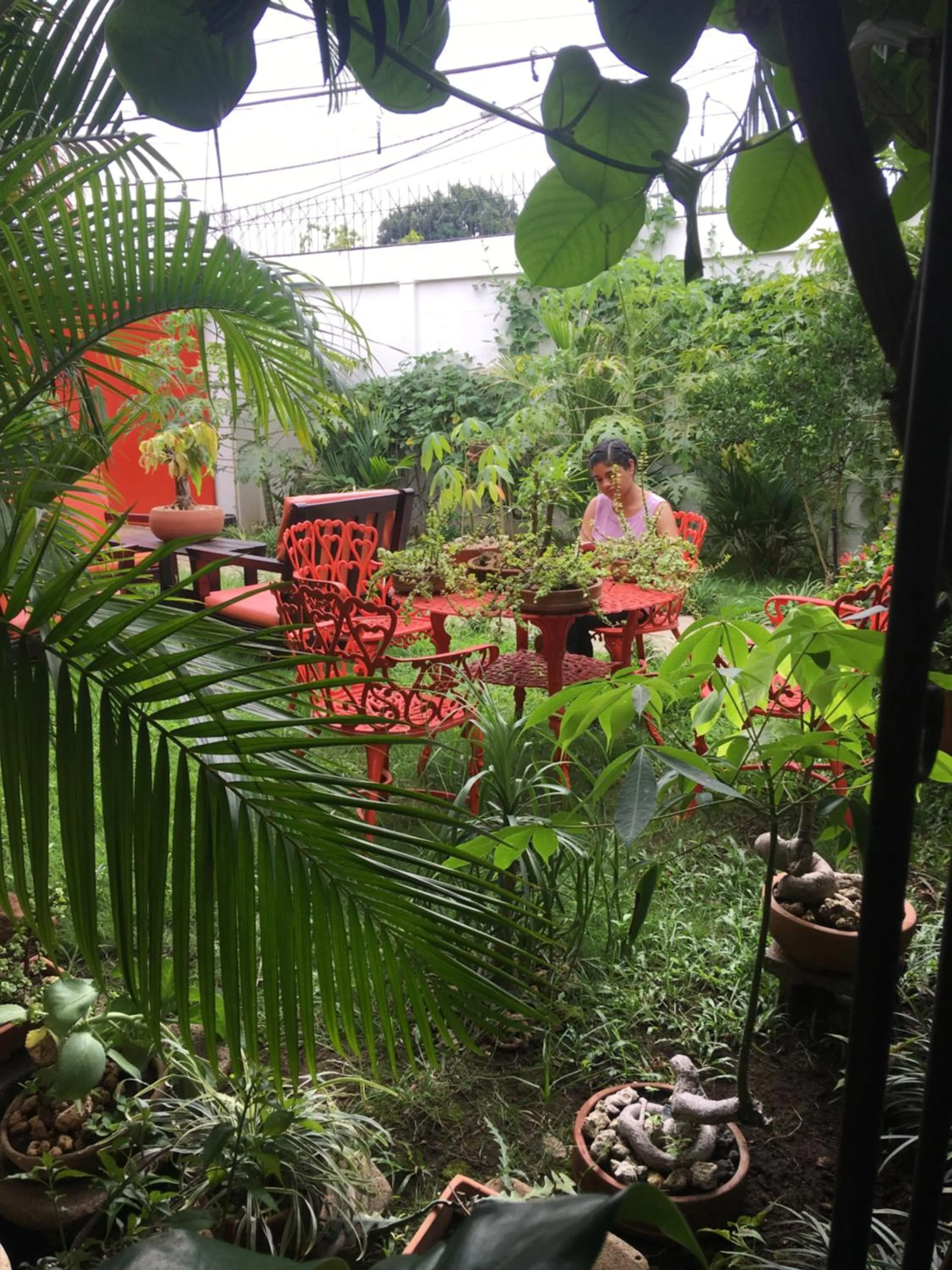 Garden view in La Posada del Arcangel