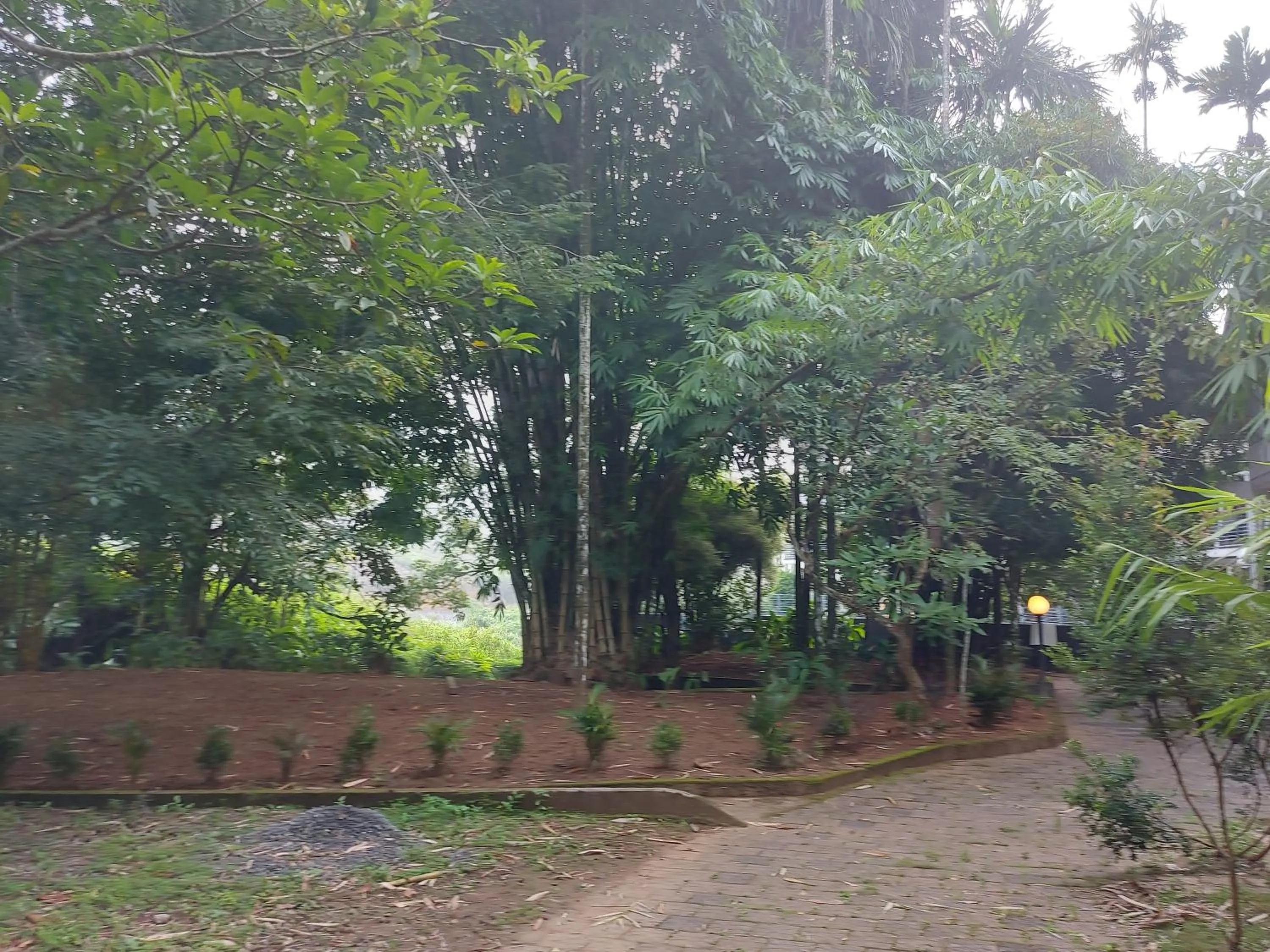Garden in B'camp Resorts & Homestays