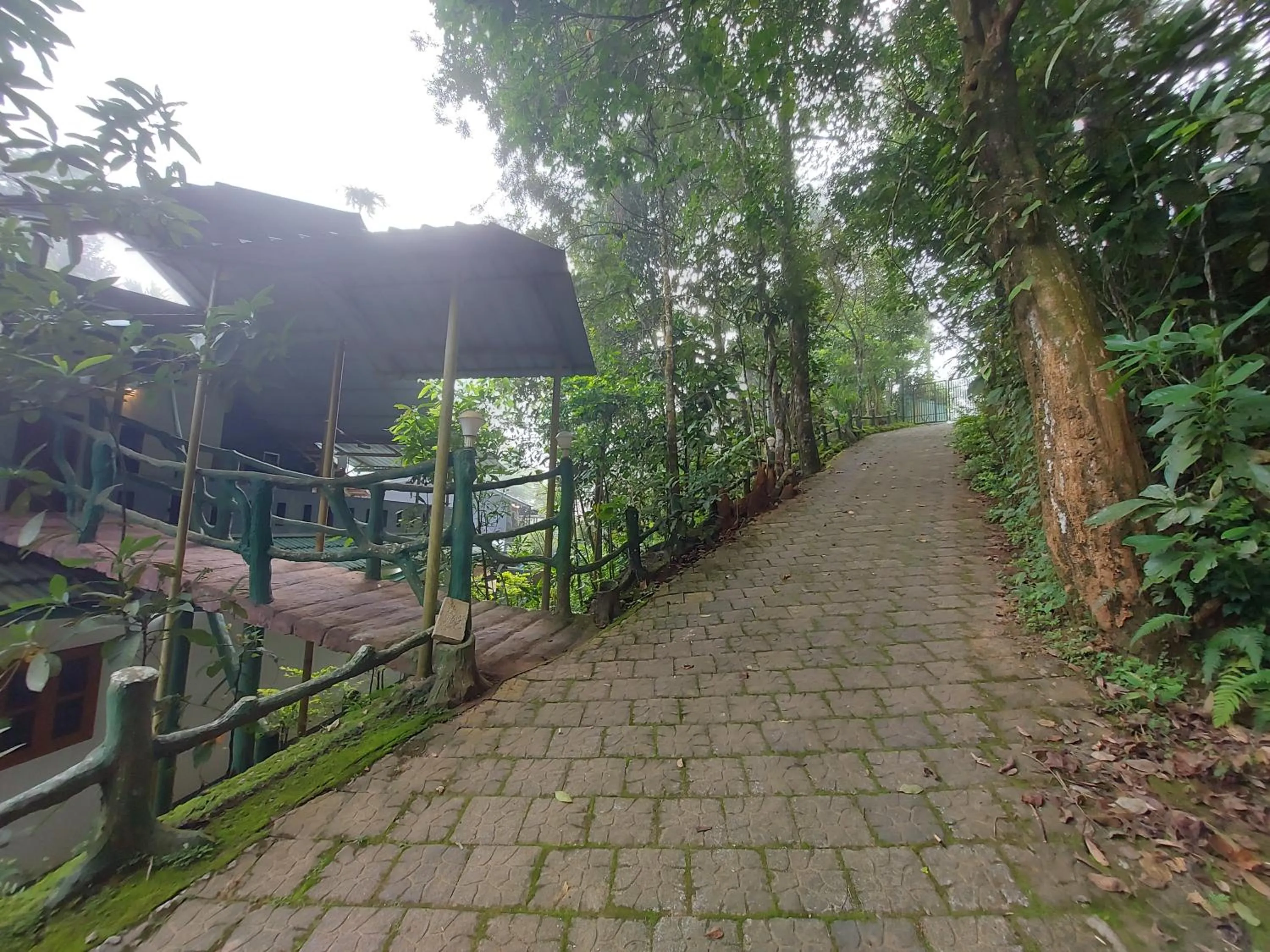 Garden in B'camp Resorts & Homestays