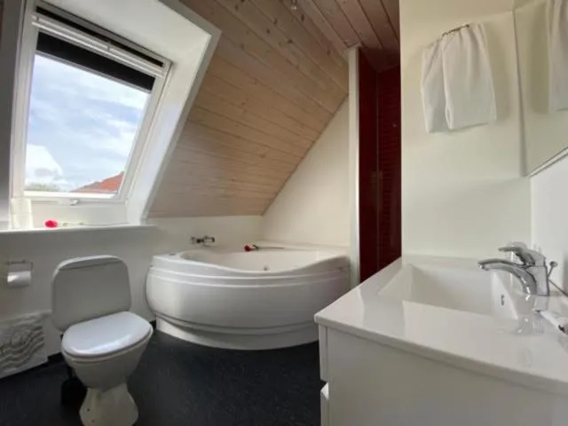 Toilet in Skagen Motel