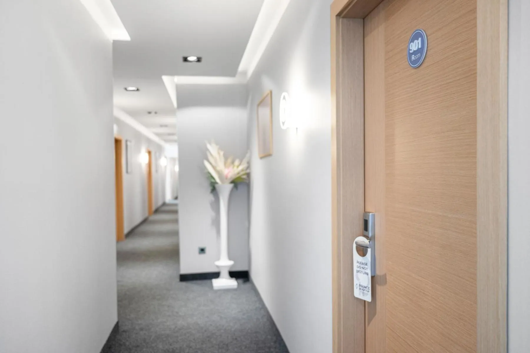 Property building in Prince Rooftop