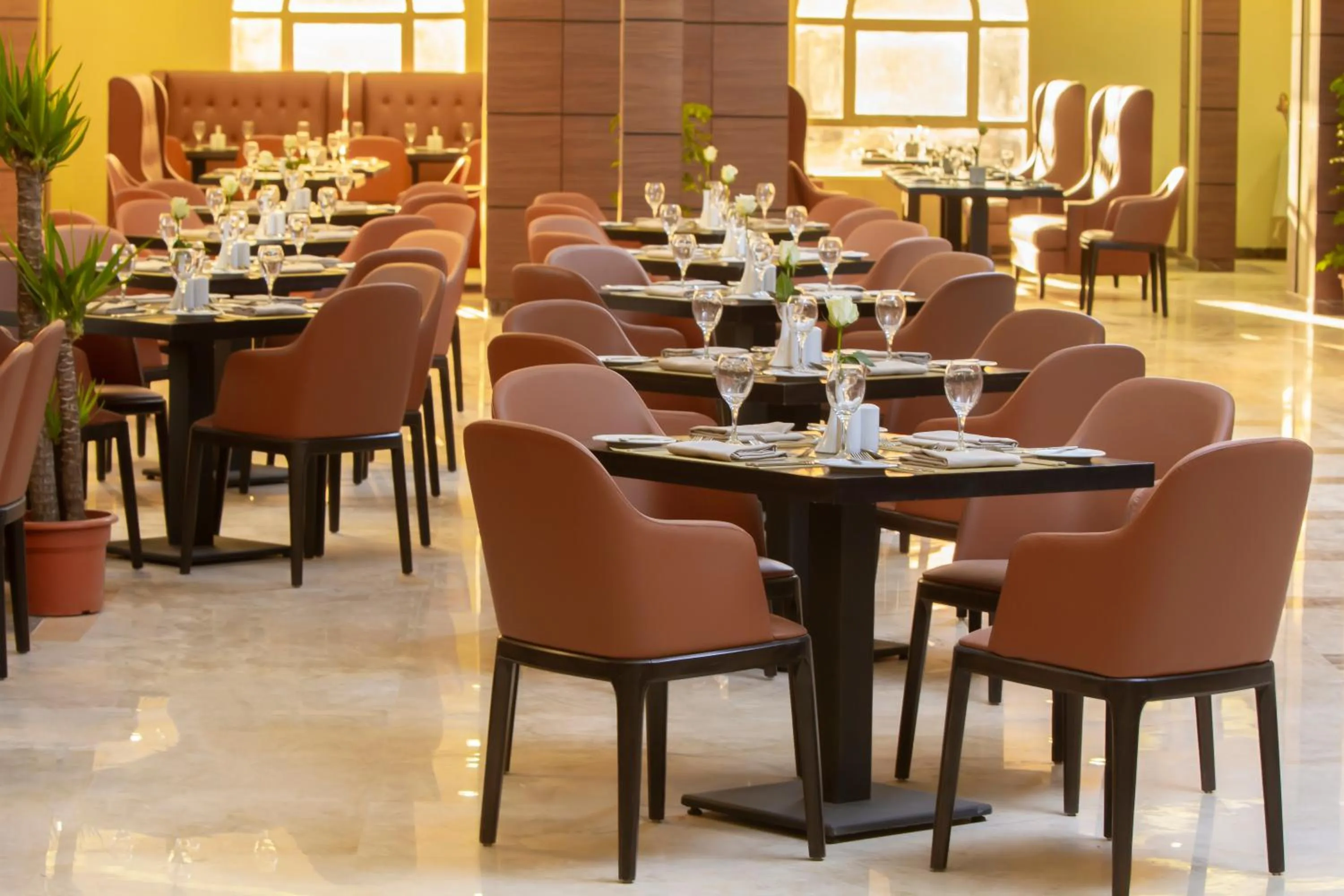 Restaurant/places to eat in Cloud City Hotel