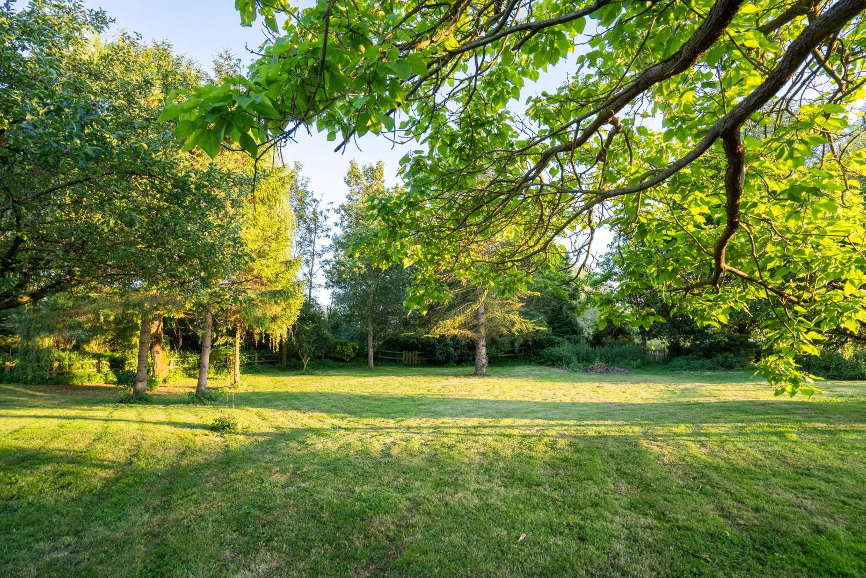 Other in The Dove Inn