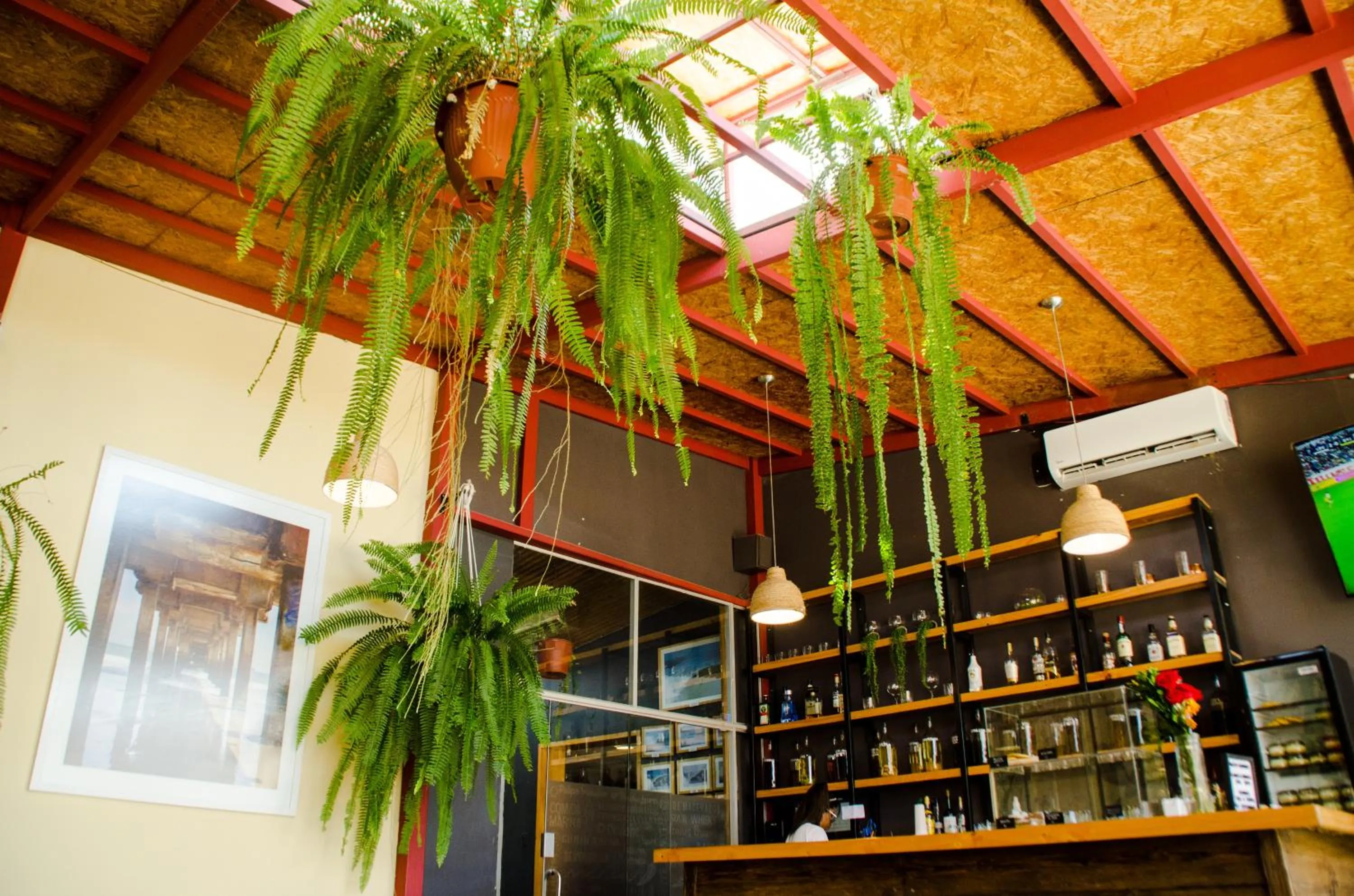 Restaurant/places to eat in Hotel Oro Negro