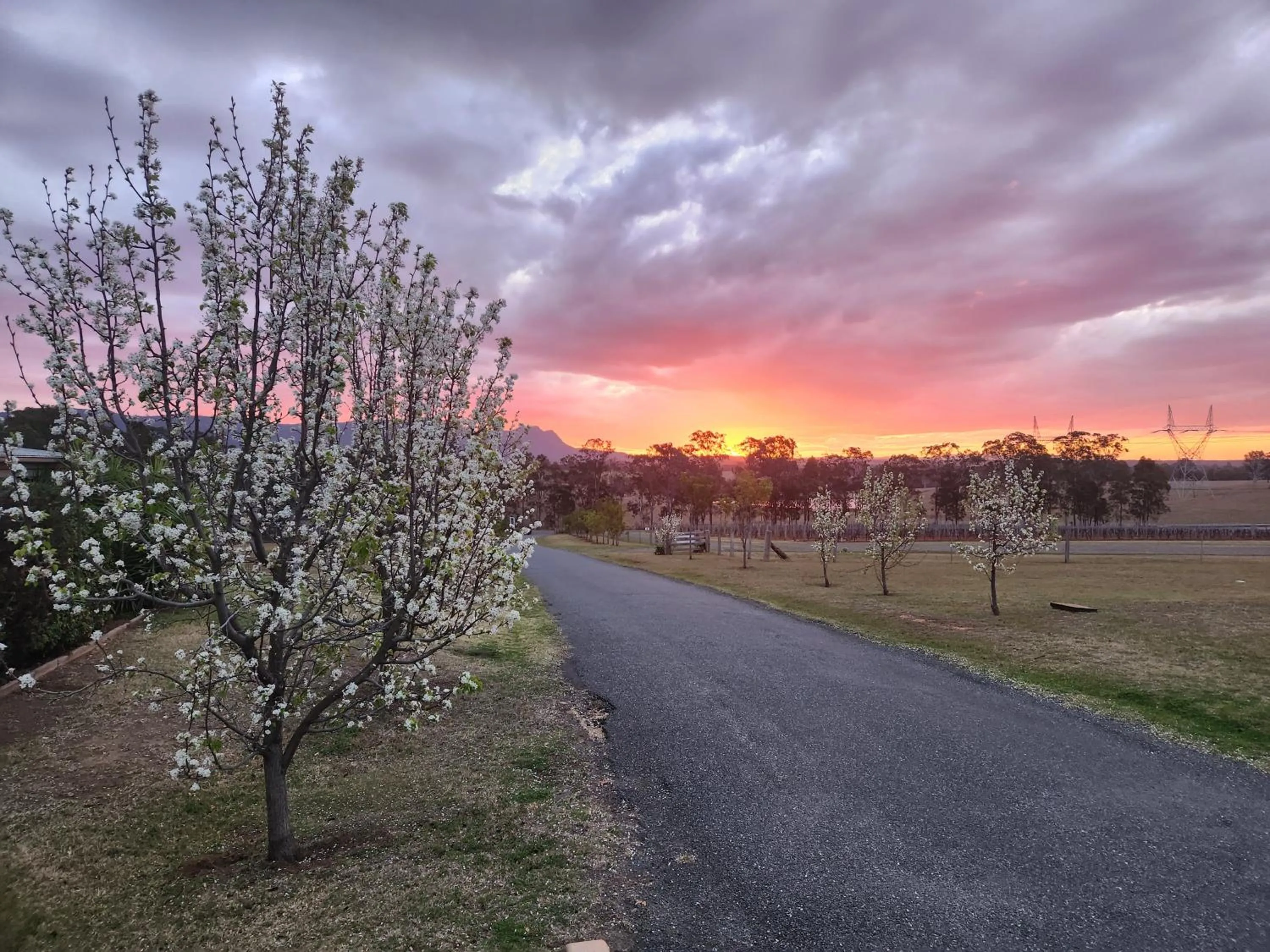 Natural landscape in H Boutique Hotel
