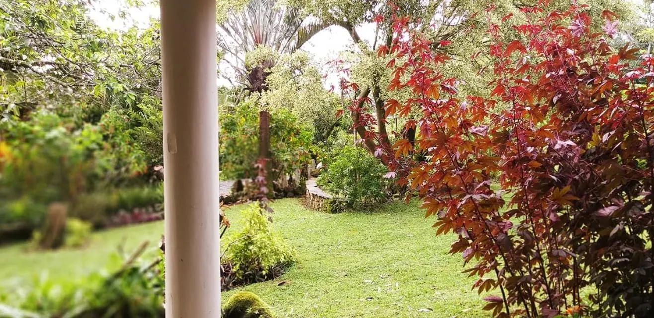 Natural landscape in SCHUMANN'S RESORT & PARK