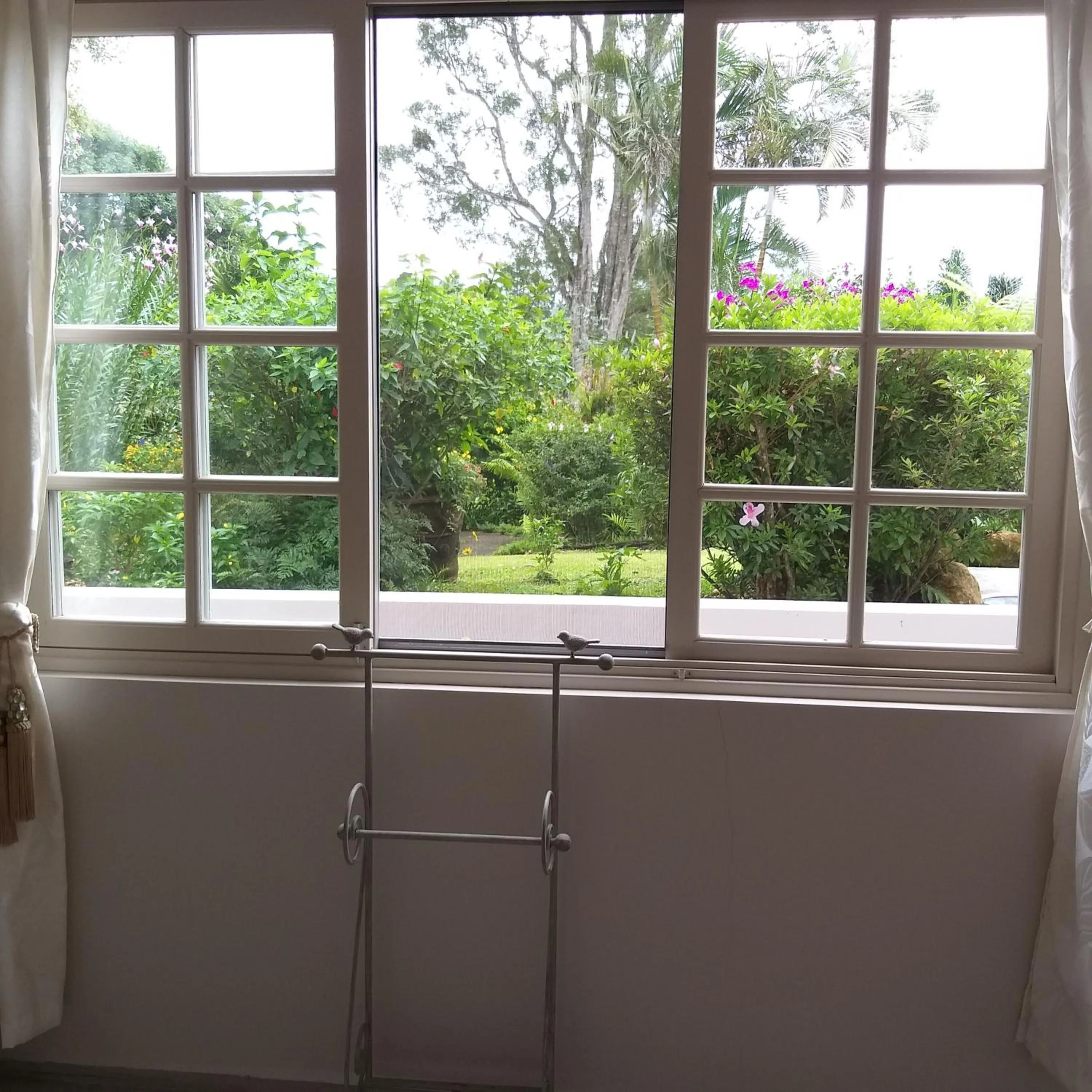 Garden in SCHUMANN'S RESORT & PARK