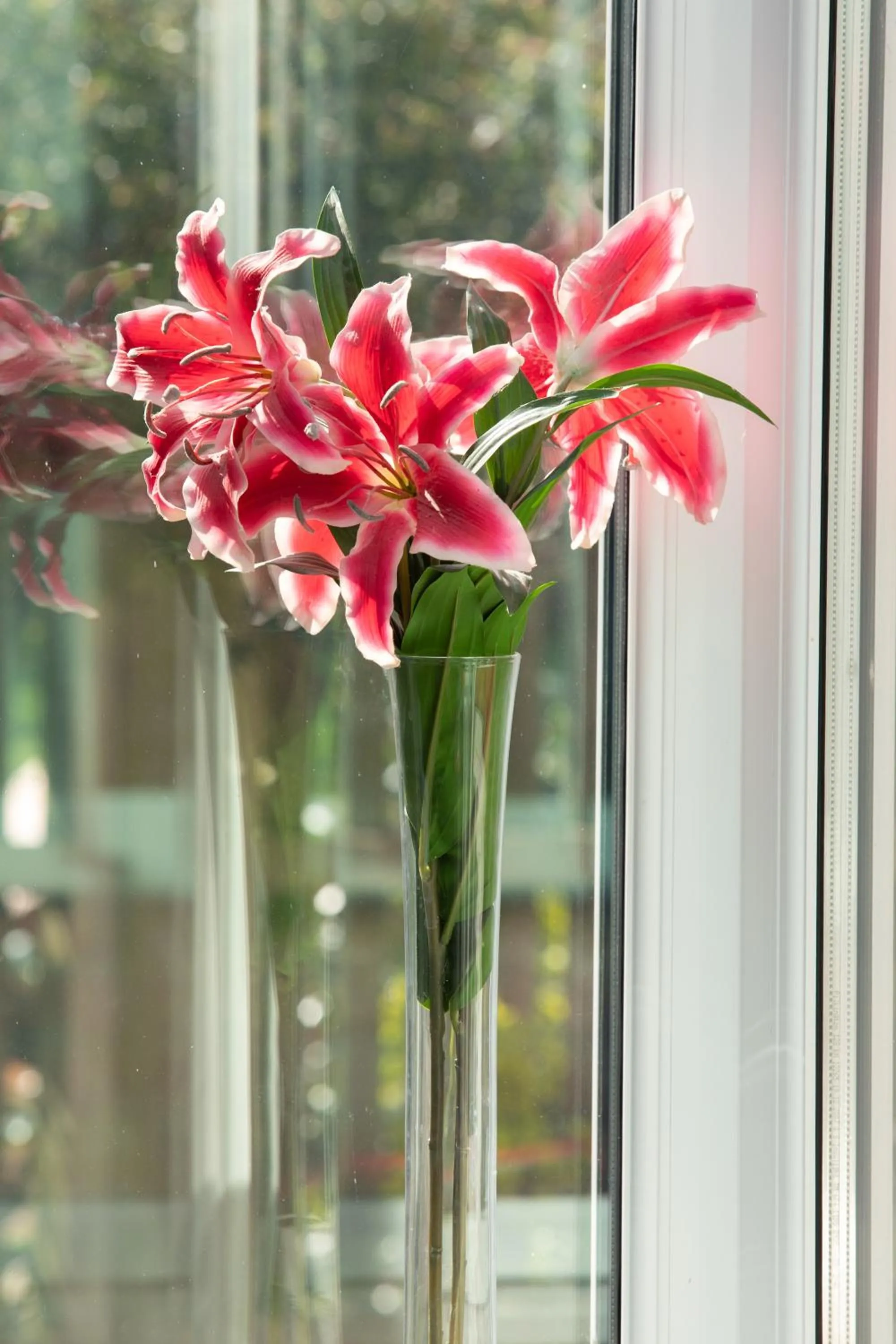 Treherne House & The Malvern Retreat