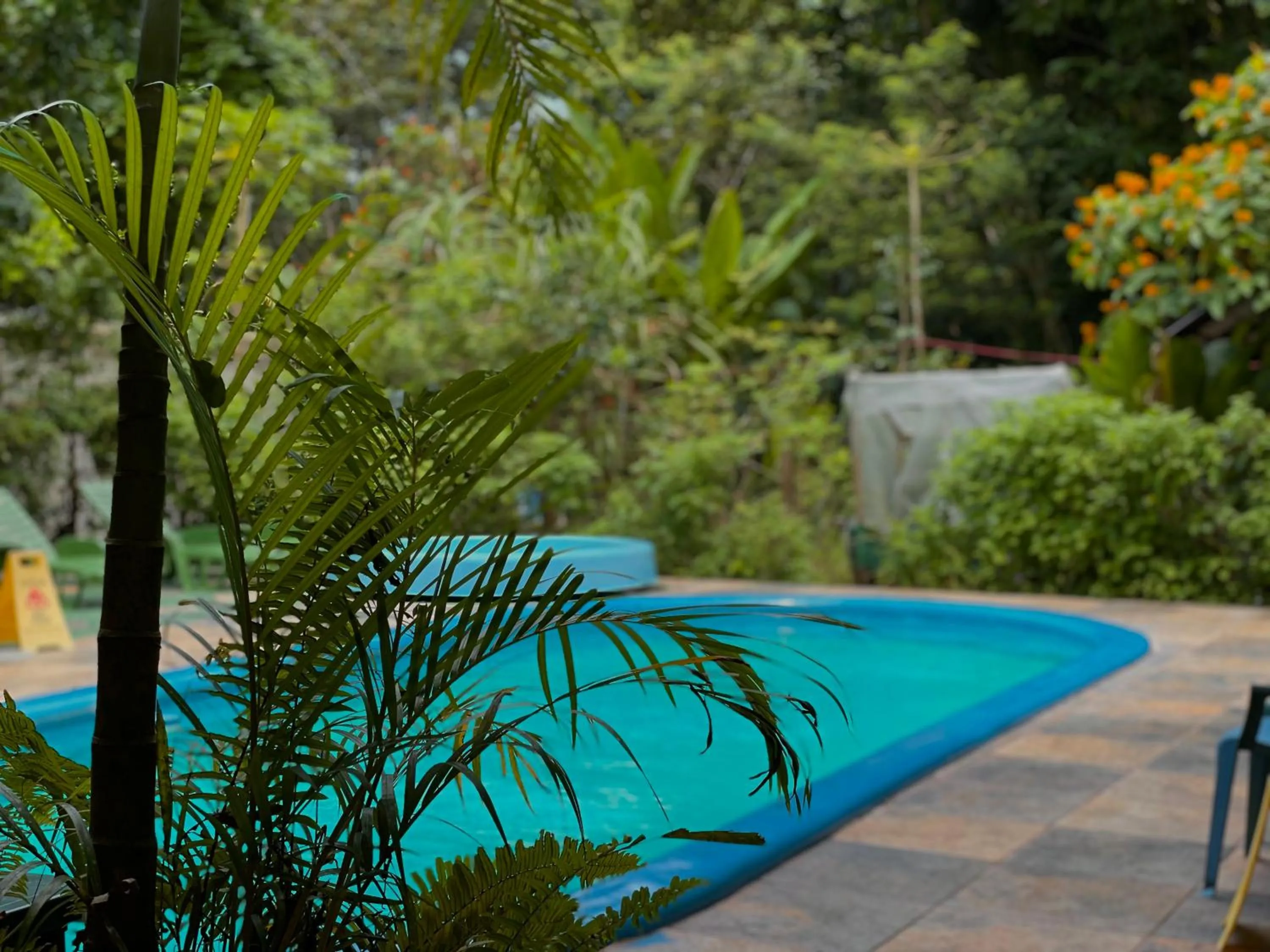 Day in Carey Lodging