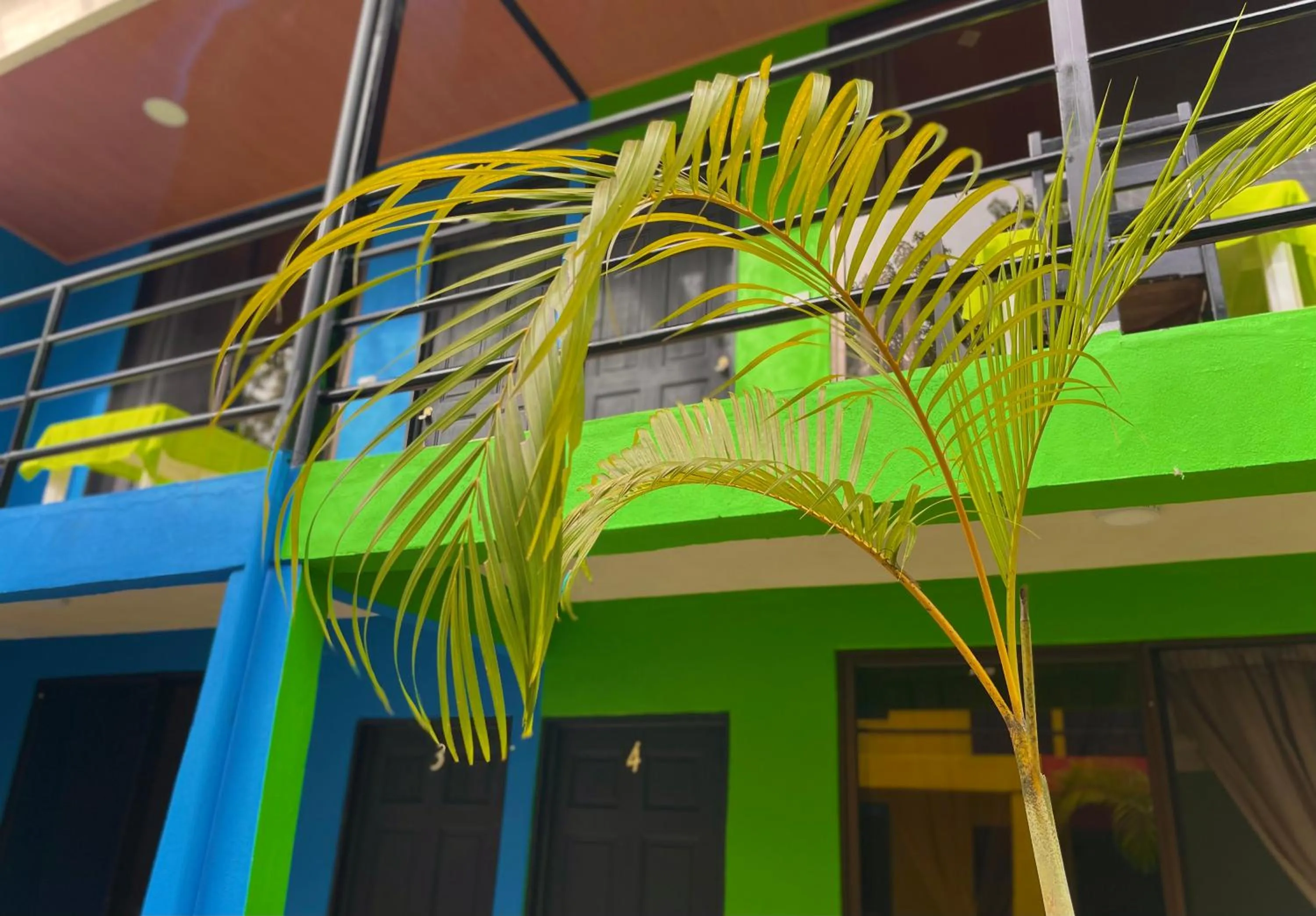 Day in Carey Lodging