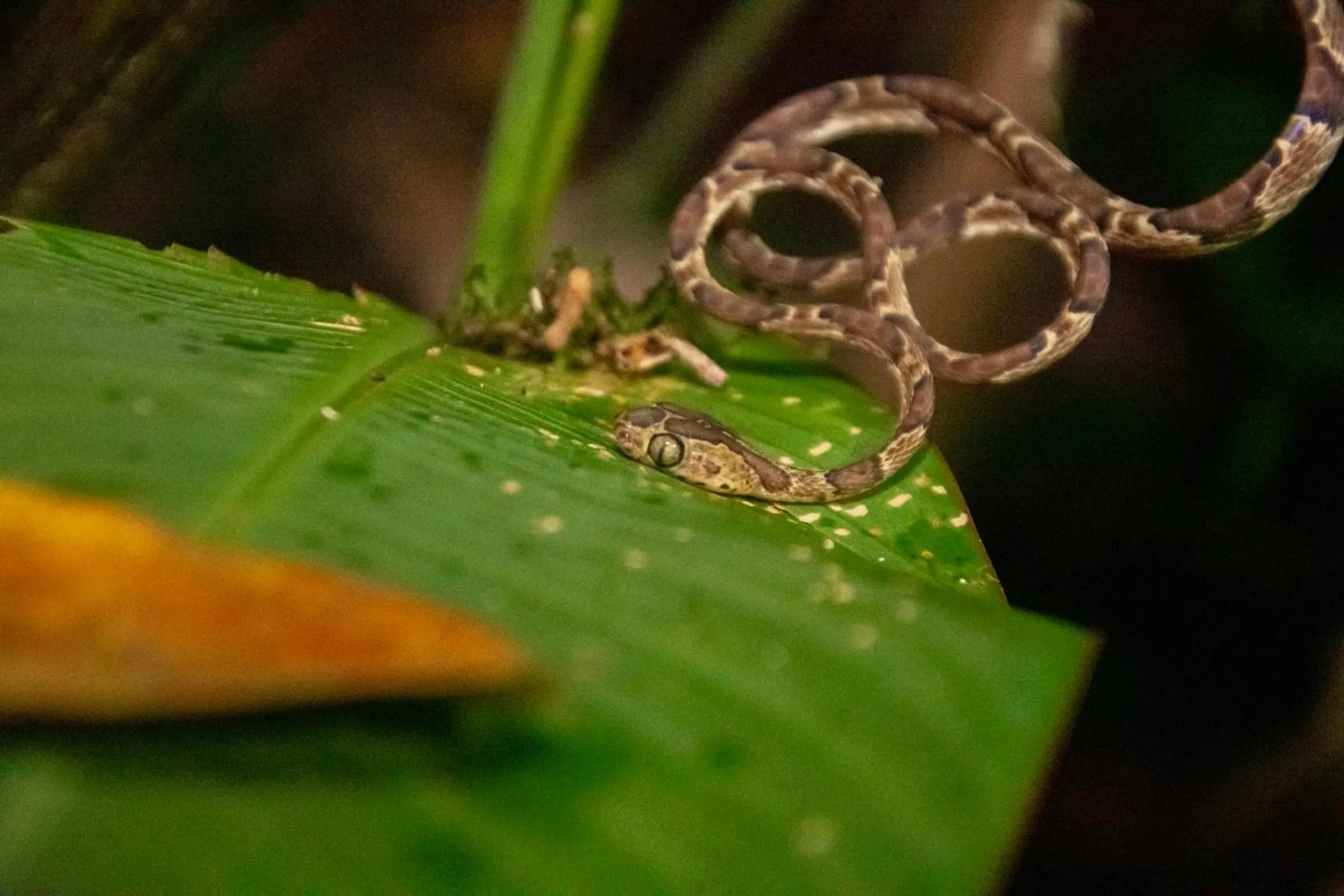 Natural landscape in Carey Lodging