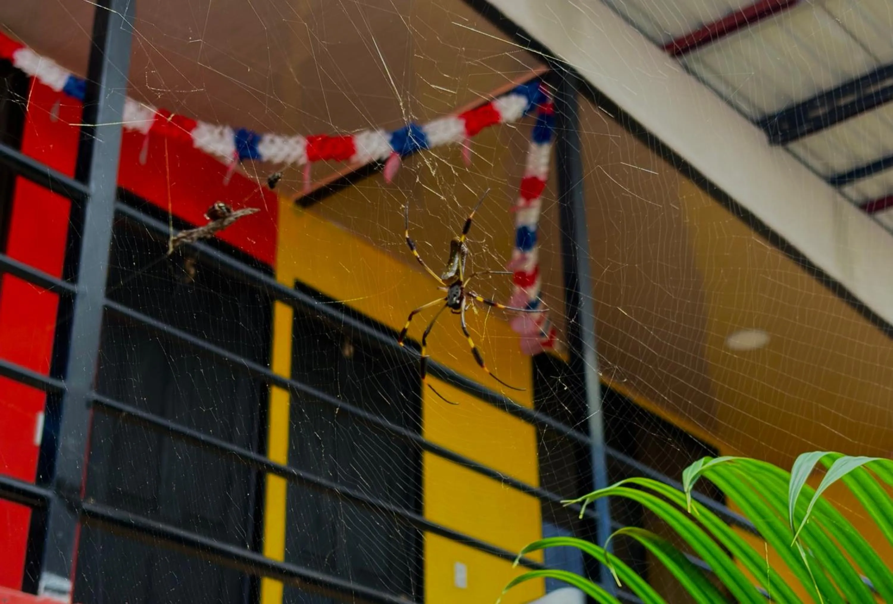 Animals in Carey Lodging