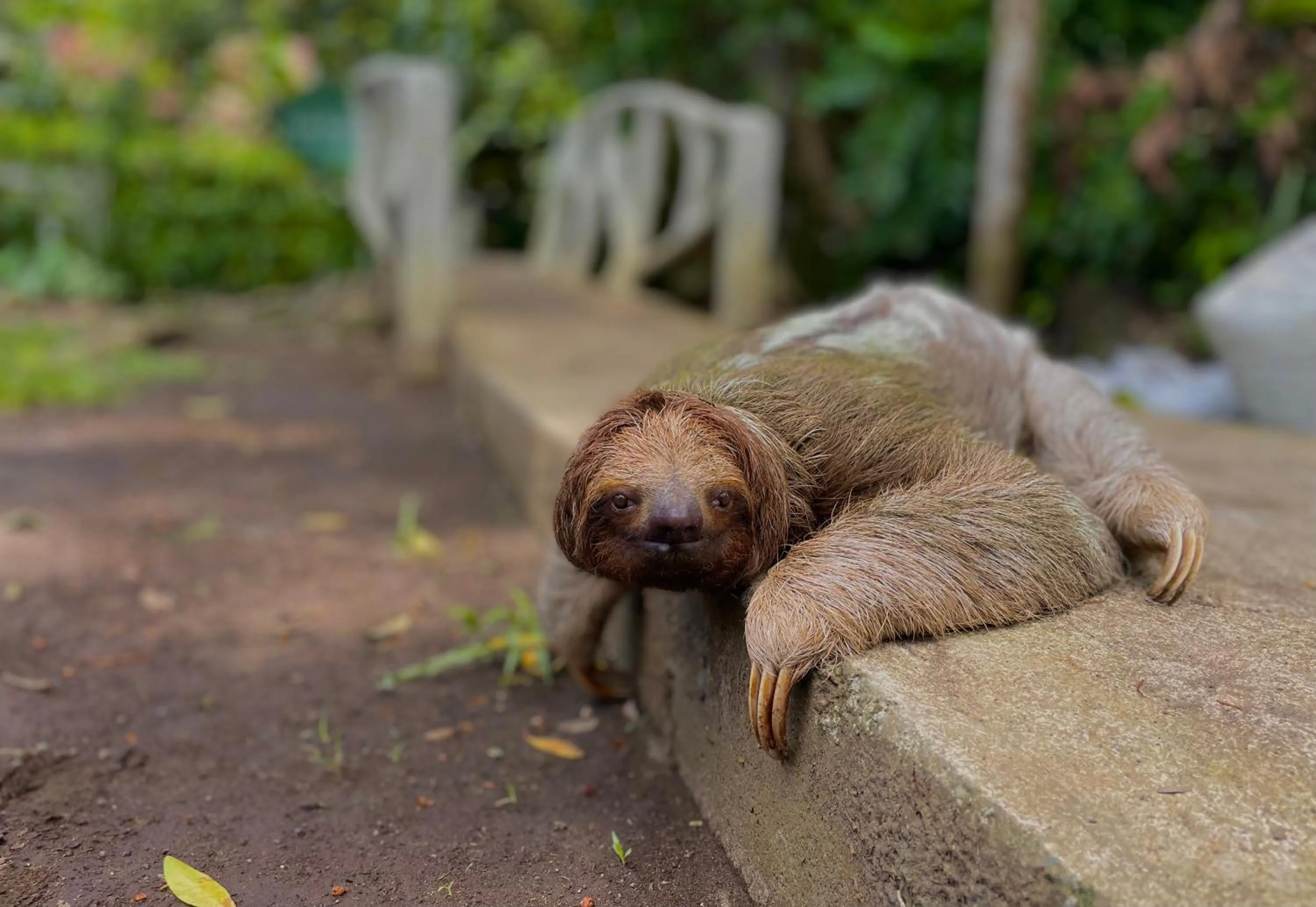 Day in Carey Lodging
