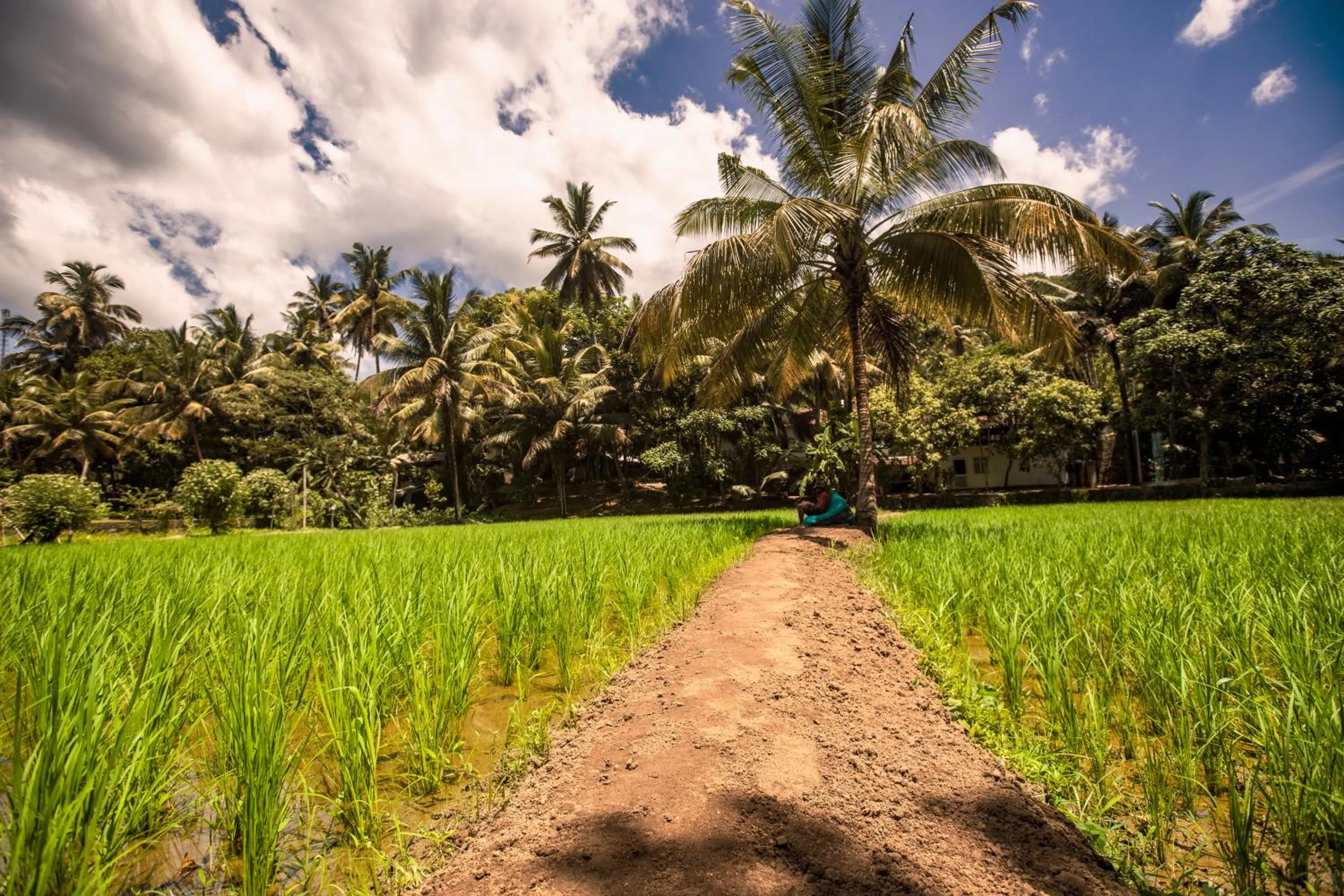 Natural landscape in Andiramada Walawwa