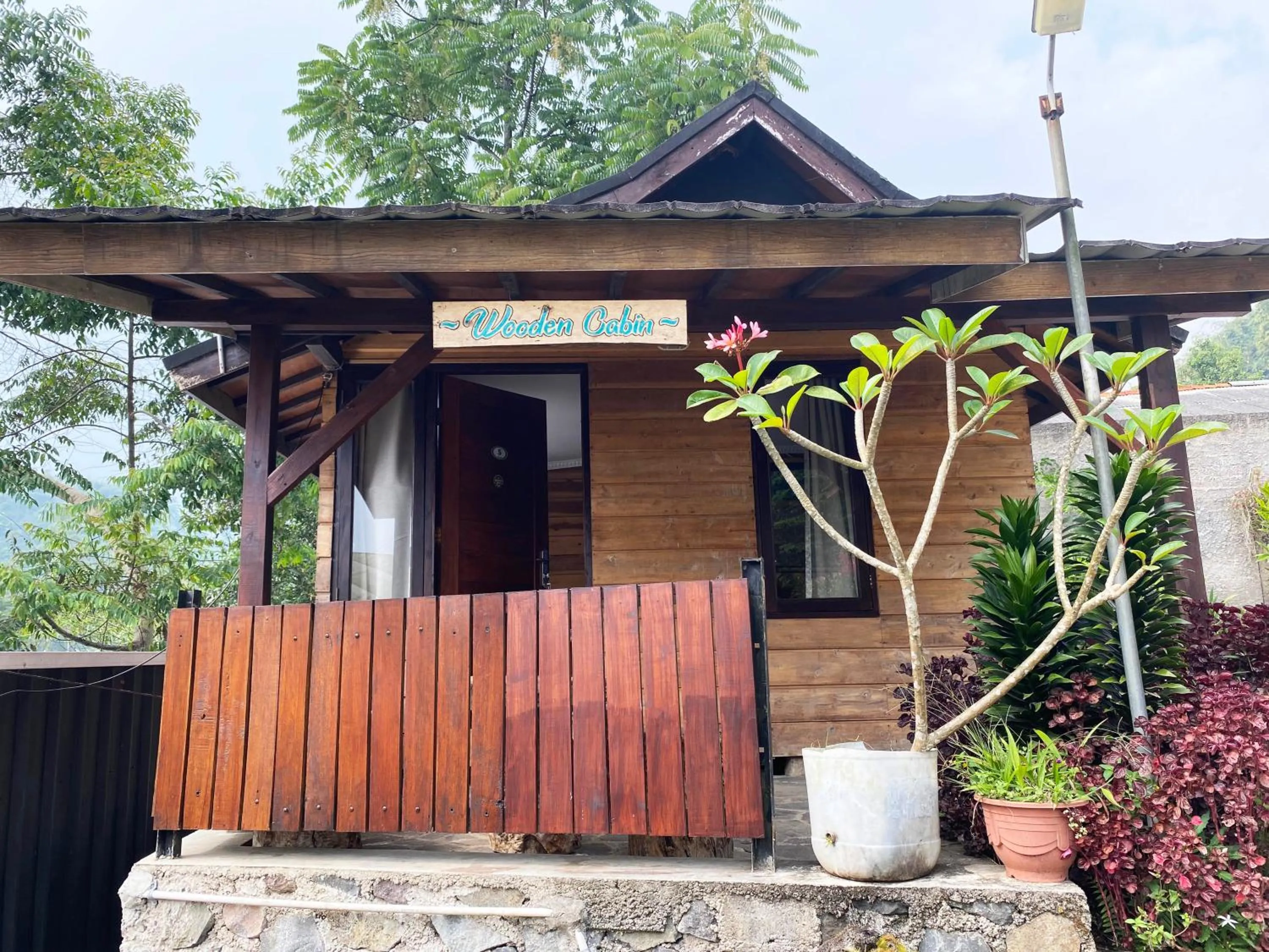 Property building in Shine River