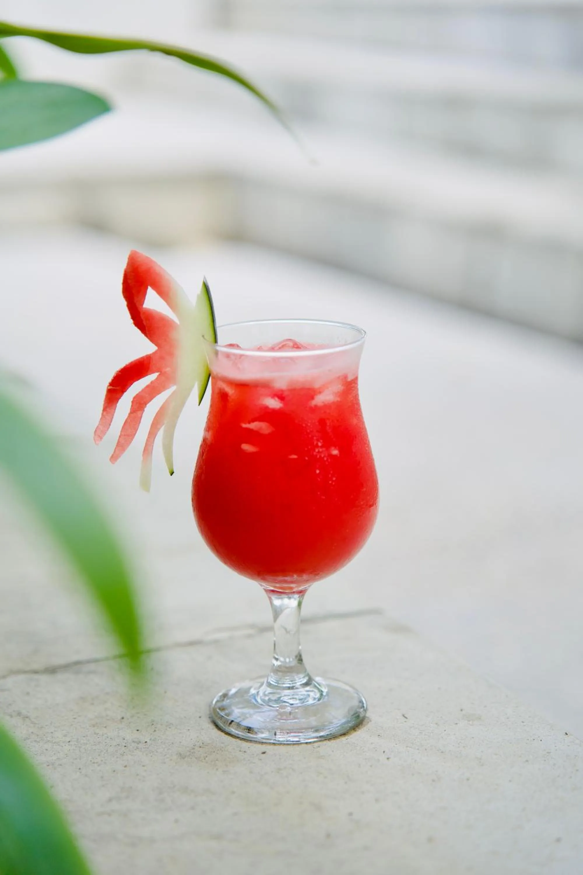 Drinks in Dhauteya Villa