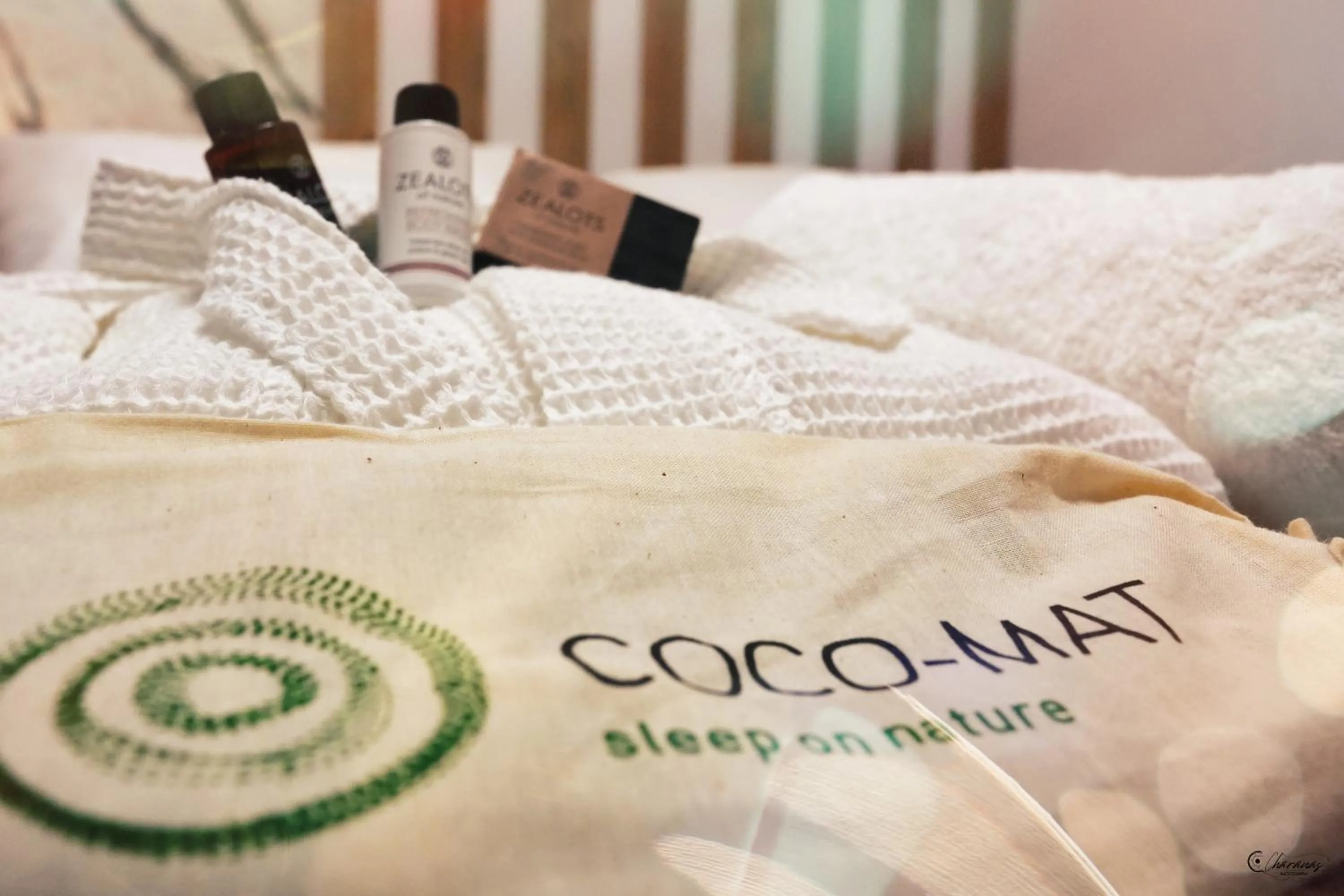 Photo of the whole room in Electra Suites