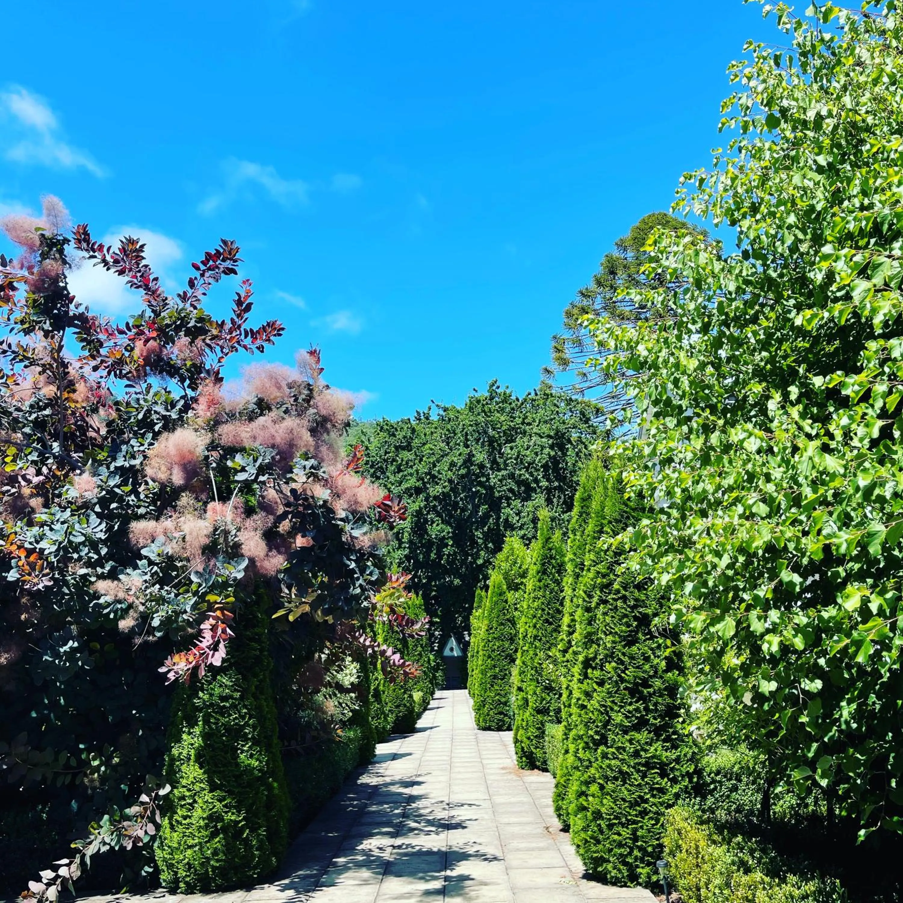 Garden in Pihopa Retreat