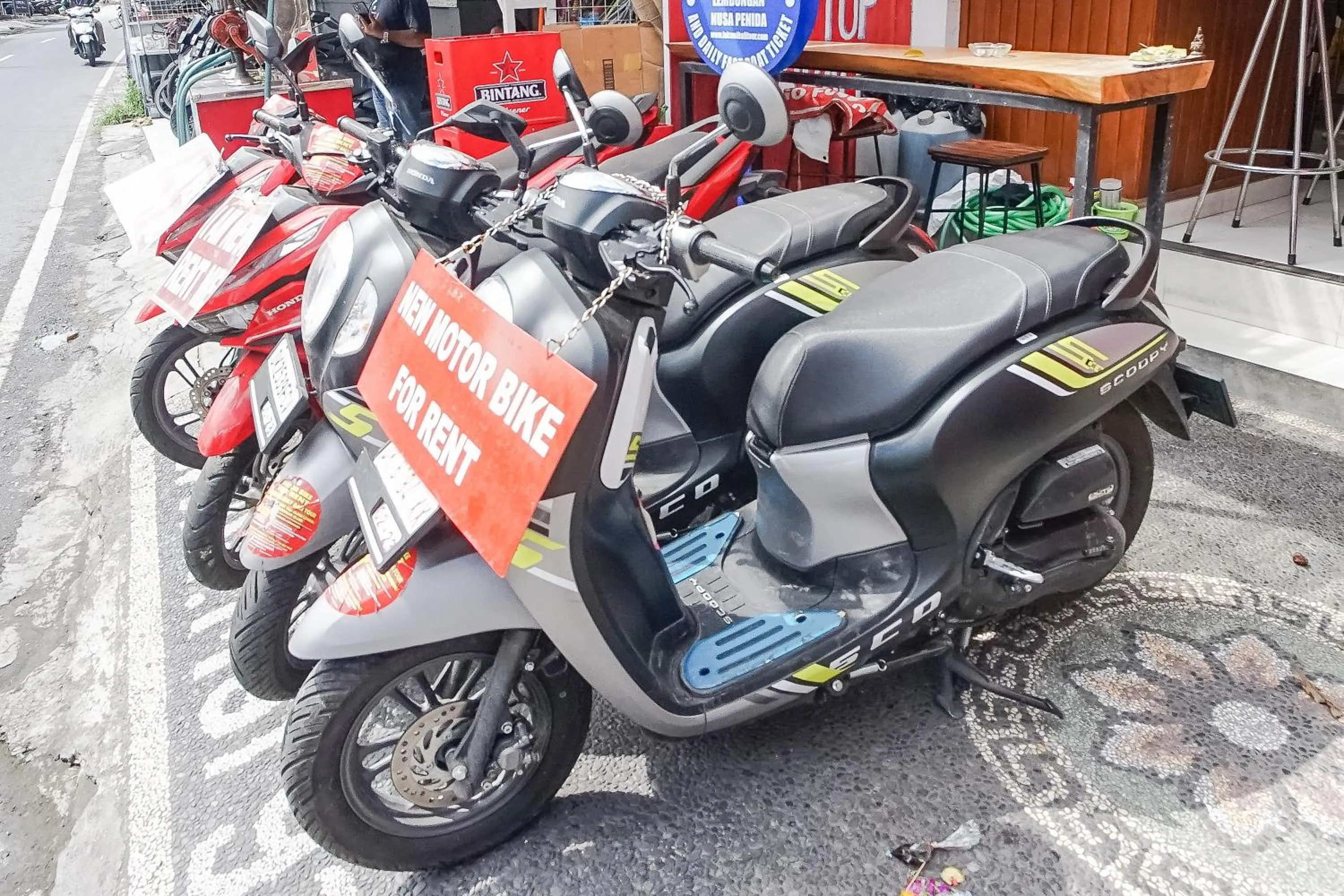 Cycling in Margarita Apartment and Coworking Canggu