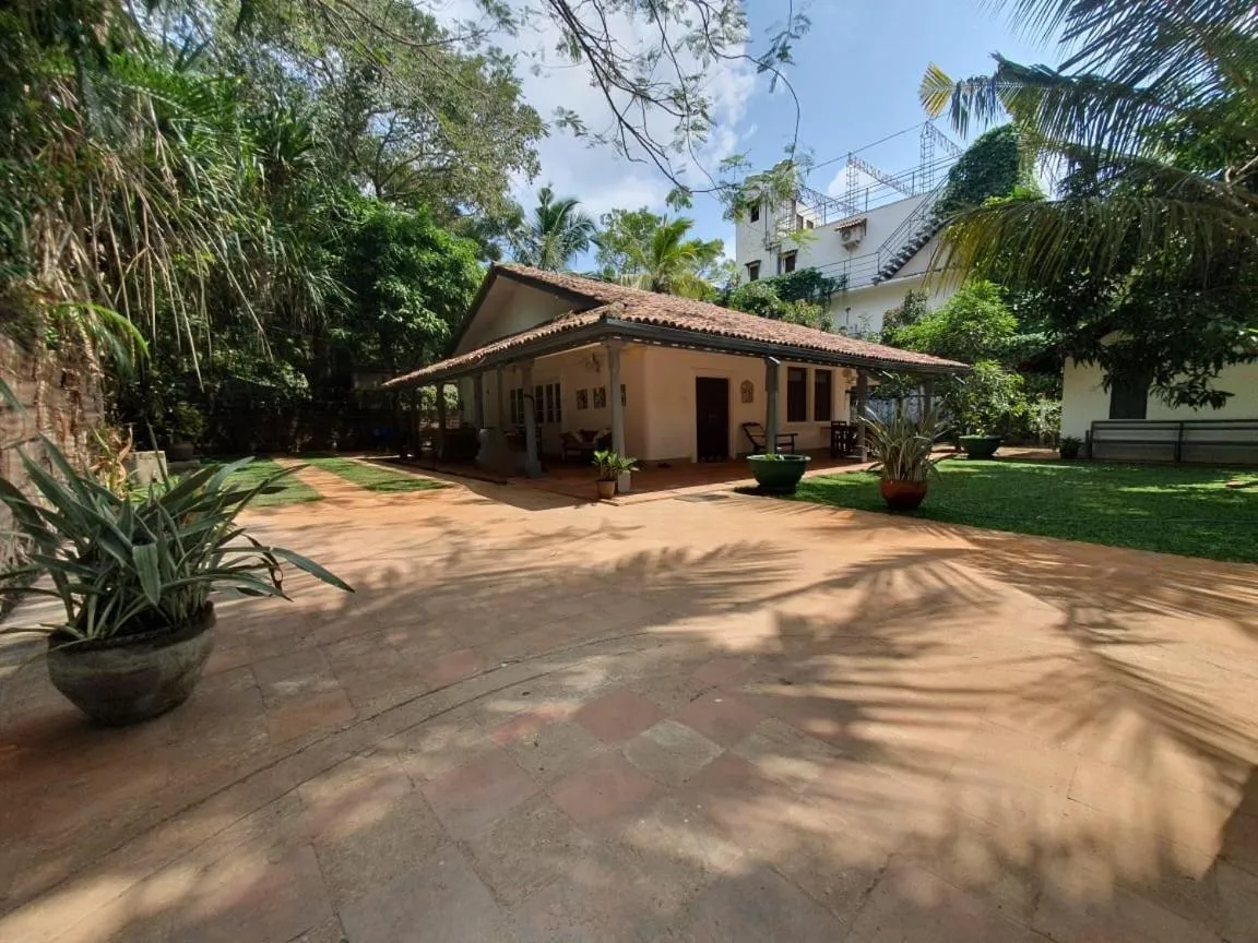 Garden in Esperanza Beach Mawella