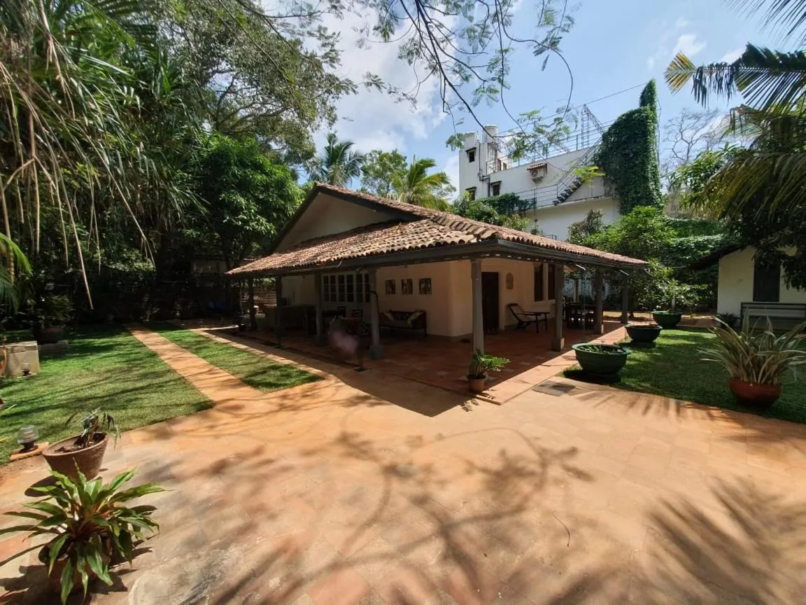 Garden in Esperanza Beach Mawella