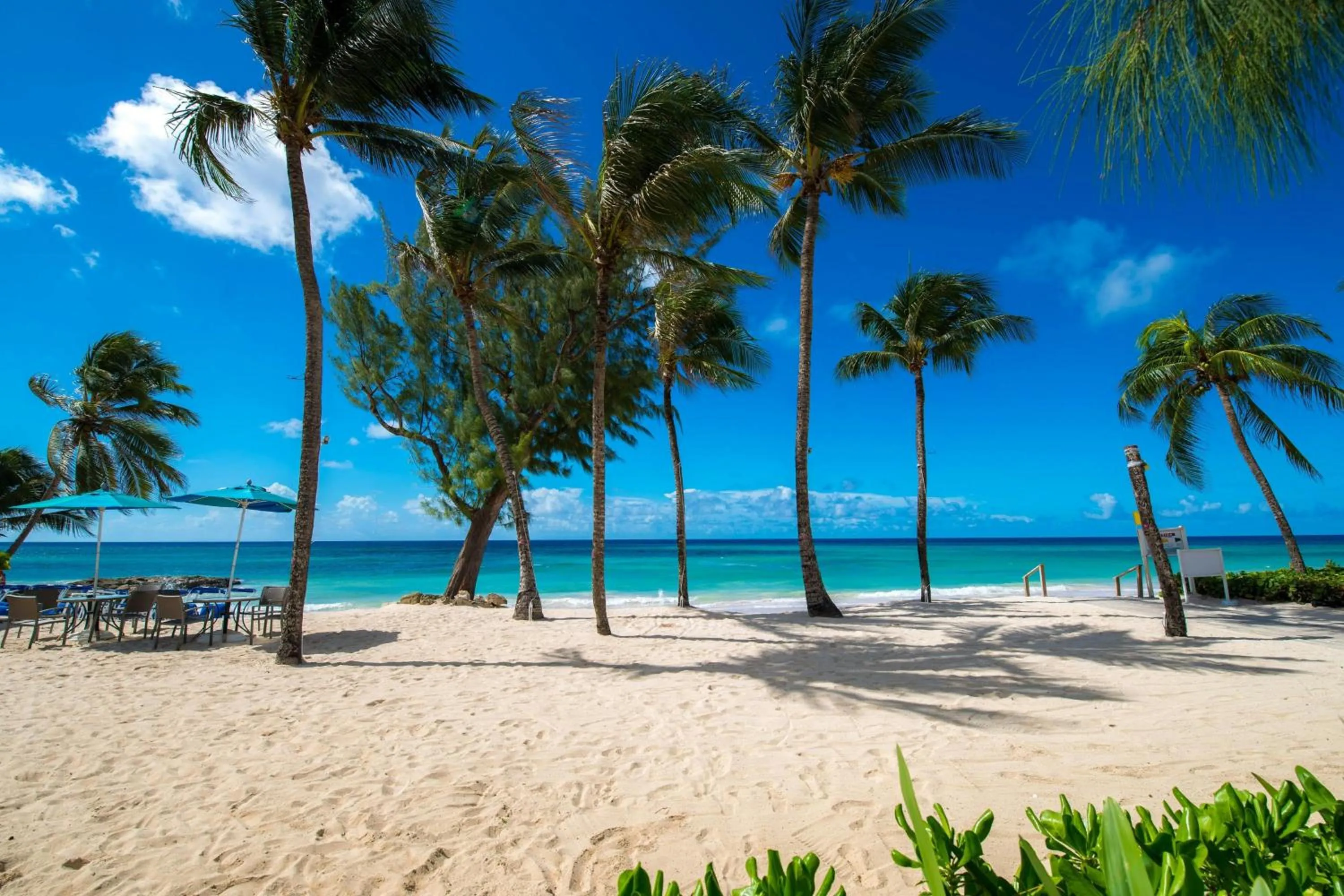 Beach in Turtle Beach, a Tribute Portfolio All Inclusive Hotel