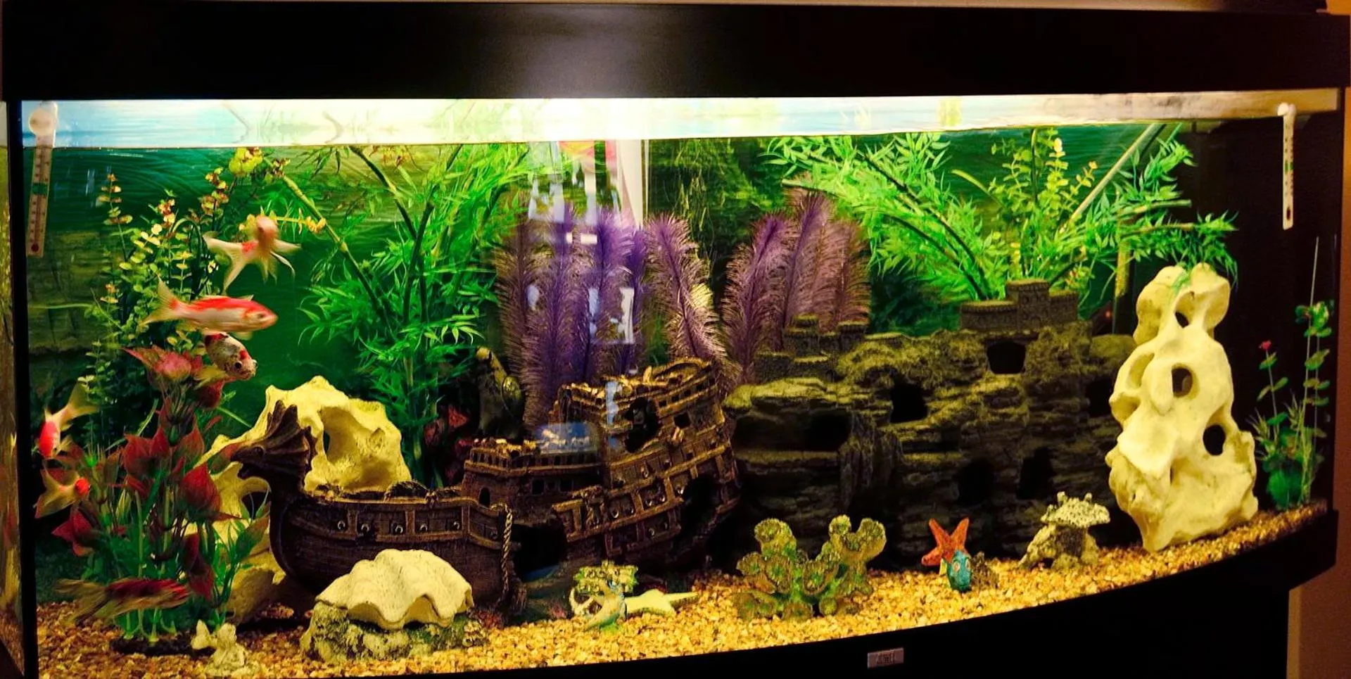 Breakfast in Station House Bed & Breakfast