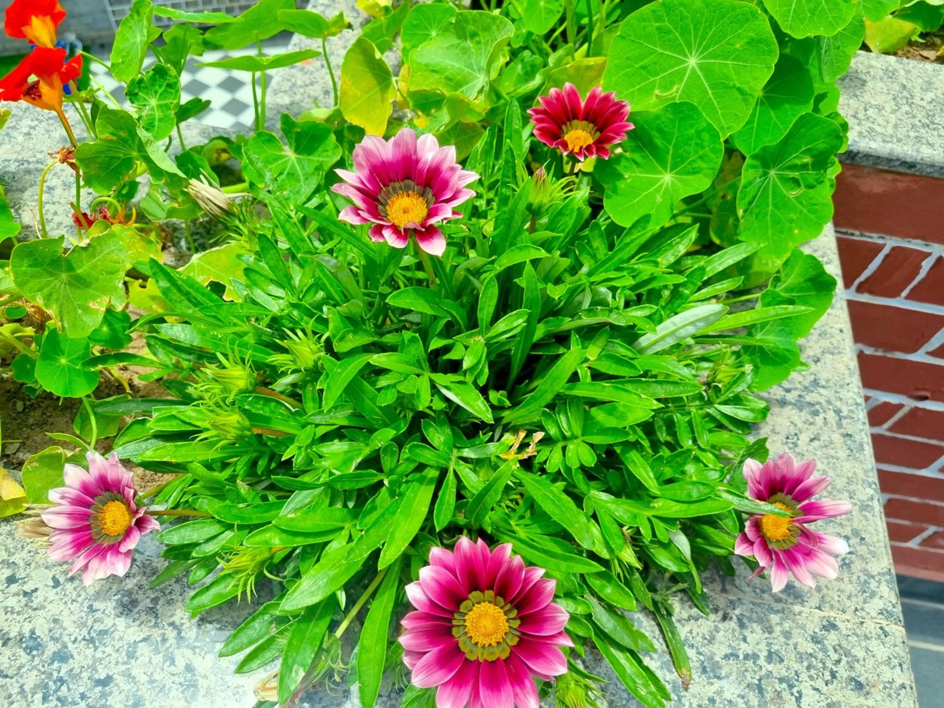 Property building in Hotel Wood Stock Luxury - A Boutique Property - Penthouse - Open Air Restaurant & Terrace