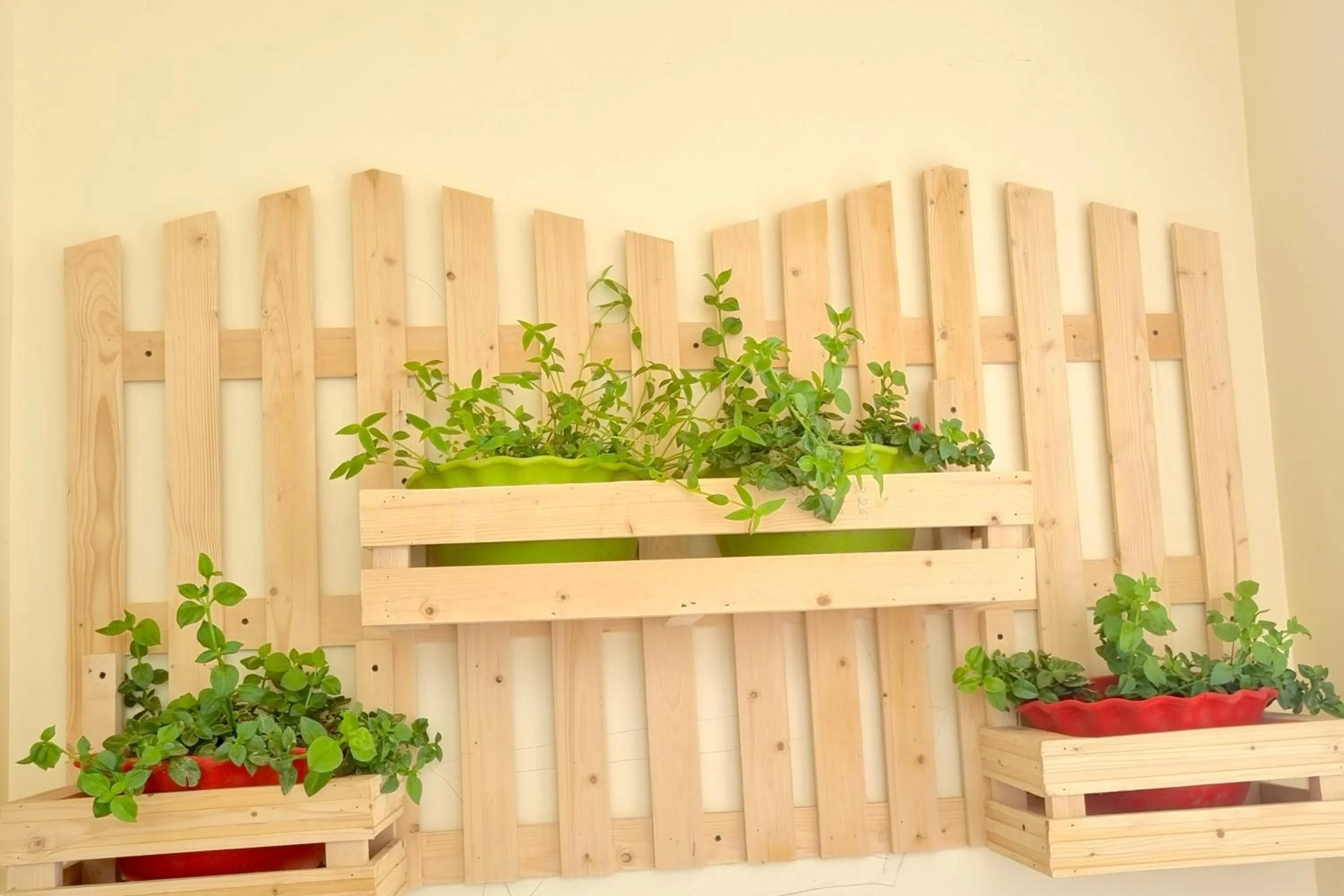 Garden in Hotel Wood Stock Luxury - A Boutique Property - Penthouse - Open Air Restaurant & Terrace