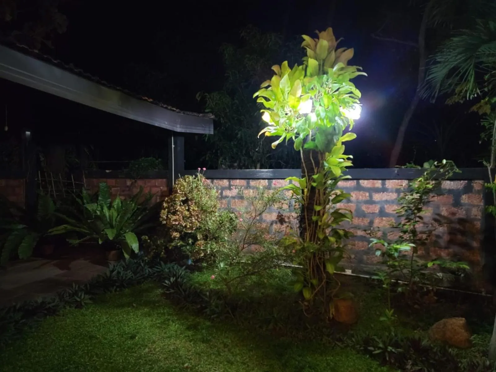 Garden in Edwin's Airport Garden