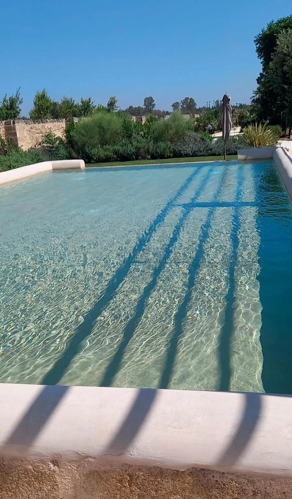 Swimming pool in Torre Assunta Masseria
