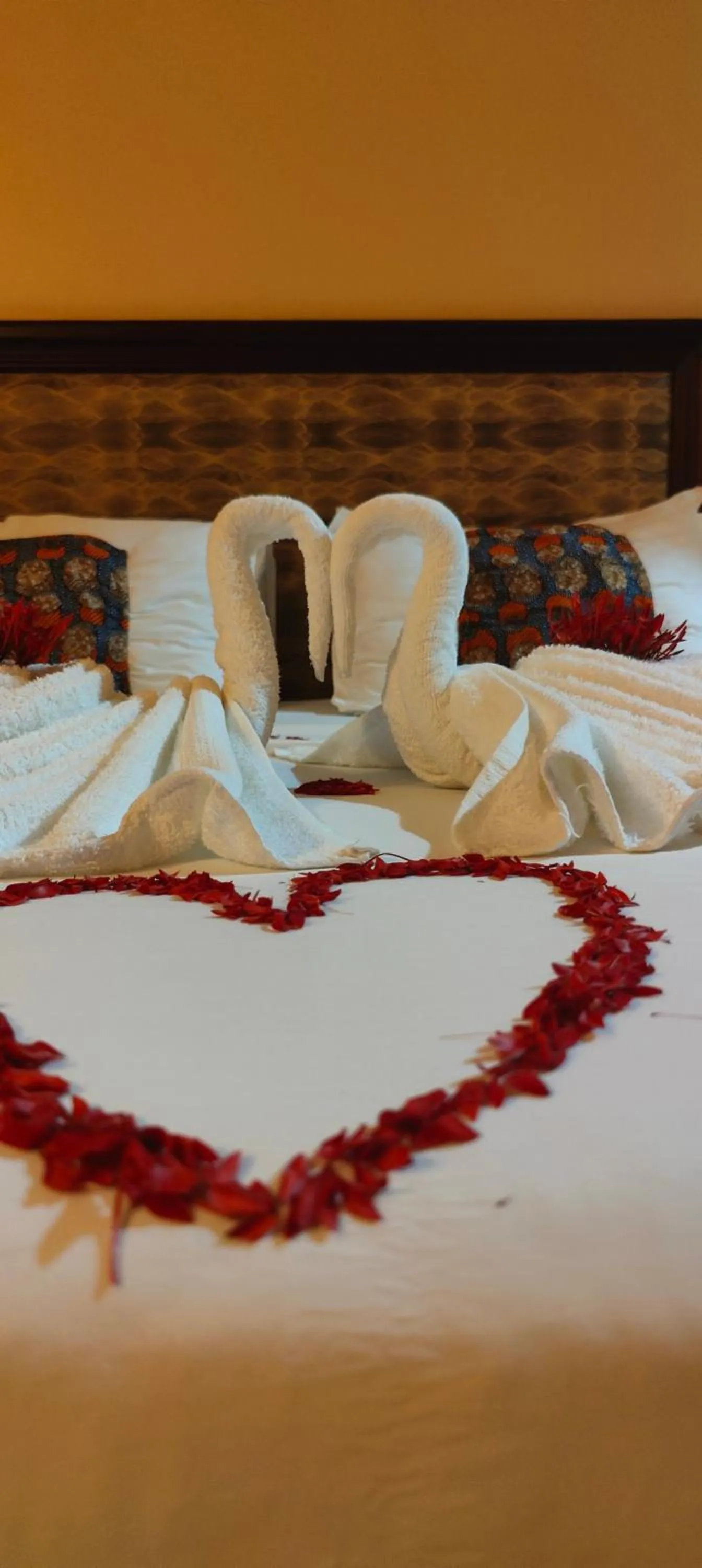 Paradiso Hotels & Resorts