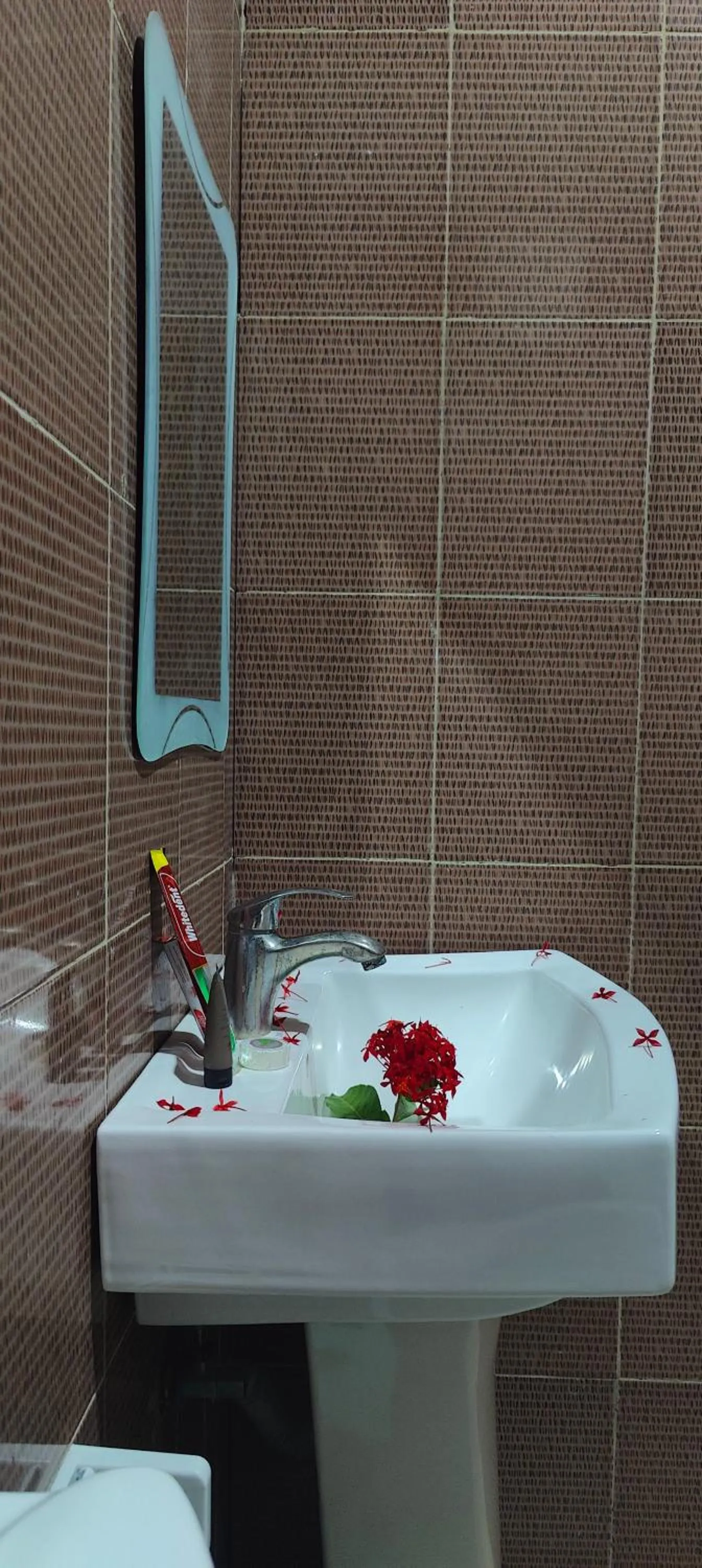 Paradiso Hotels & Resorts