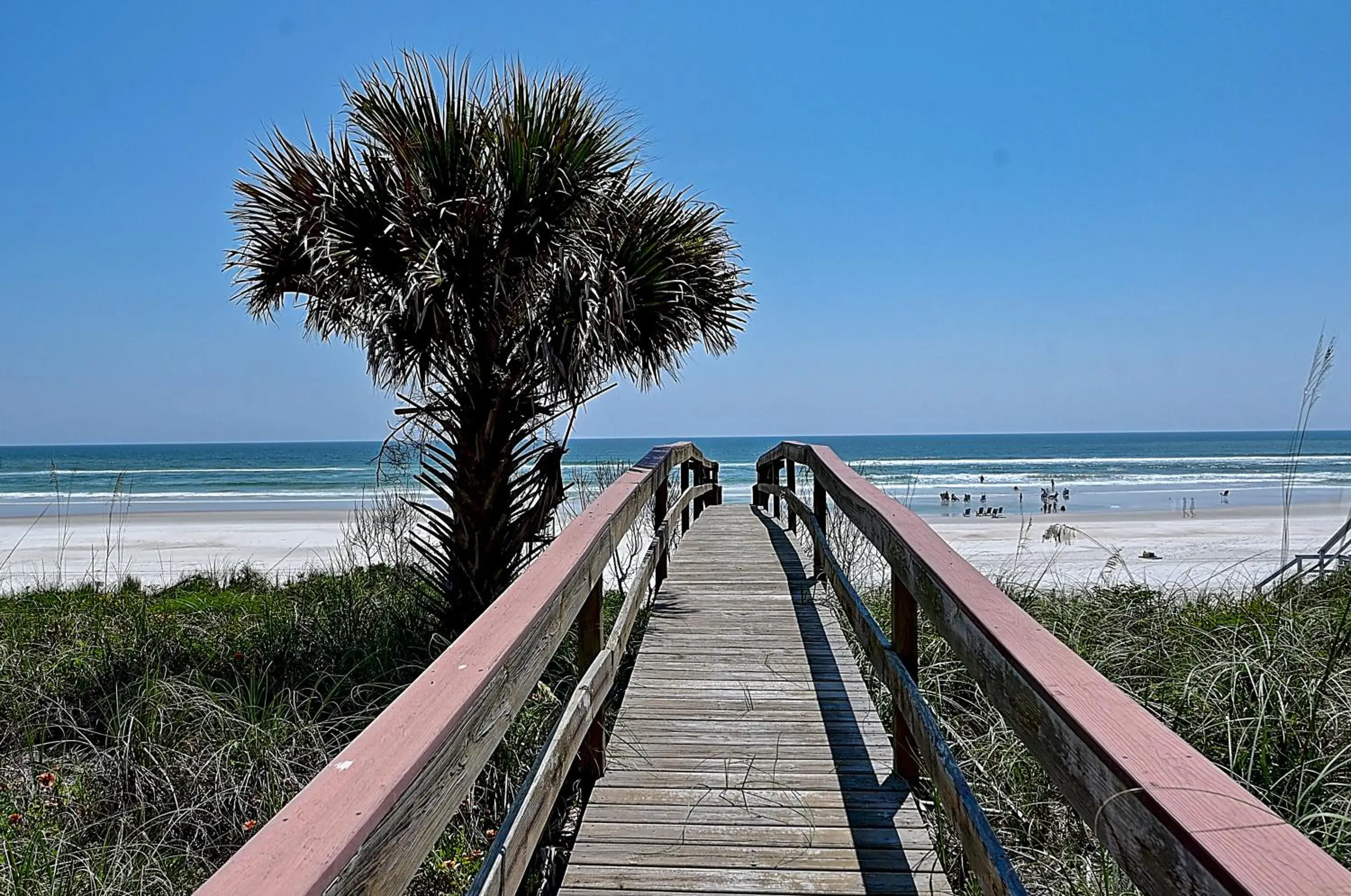 Ocean Paradise Ocean Paradise