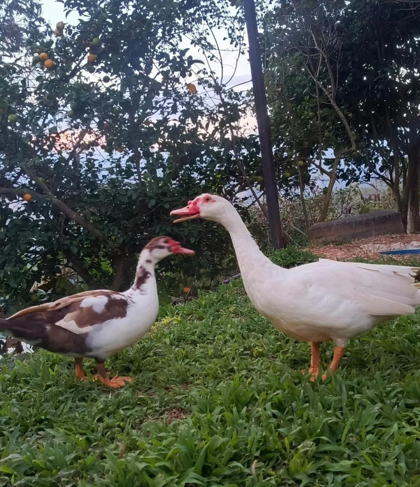 HOTEL CAMPESTRE ABRAZO DEL ANGEL