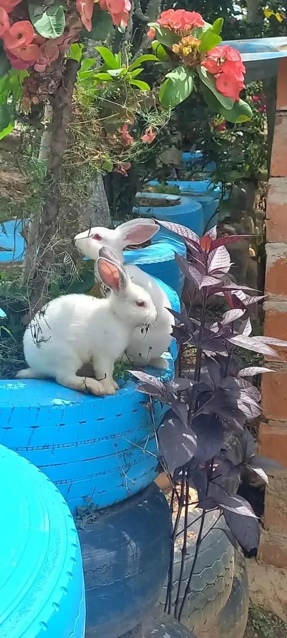 HOTEL CAMPESTRE ABRAZO DEL ANGEL
