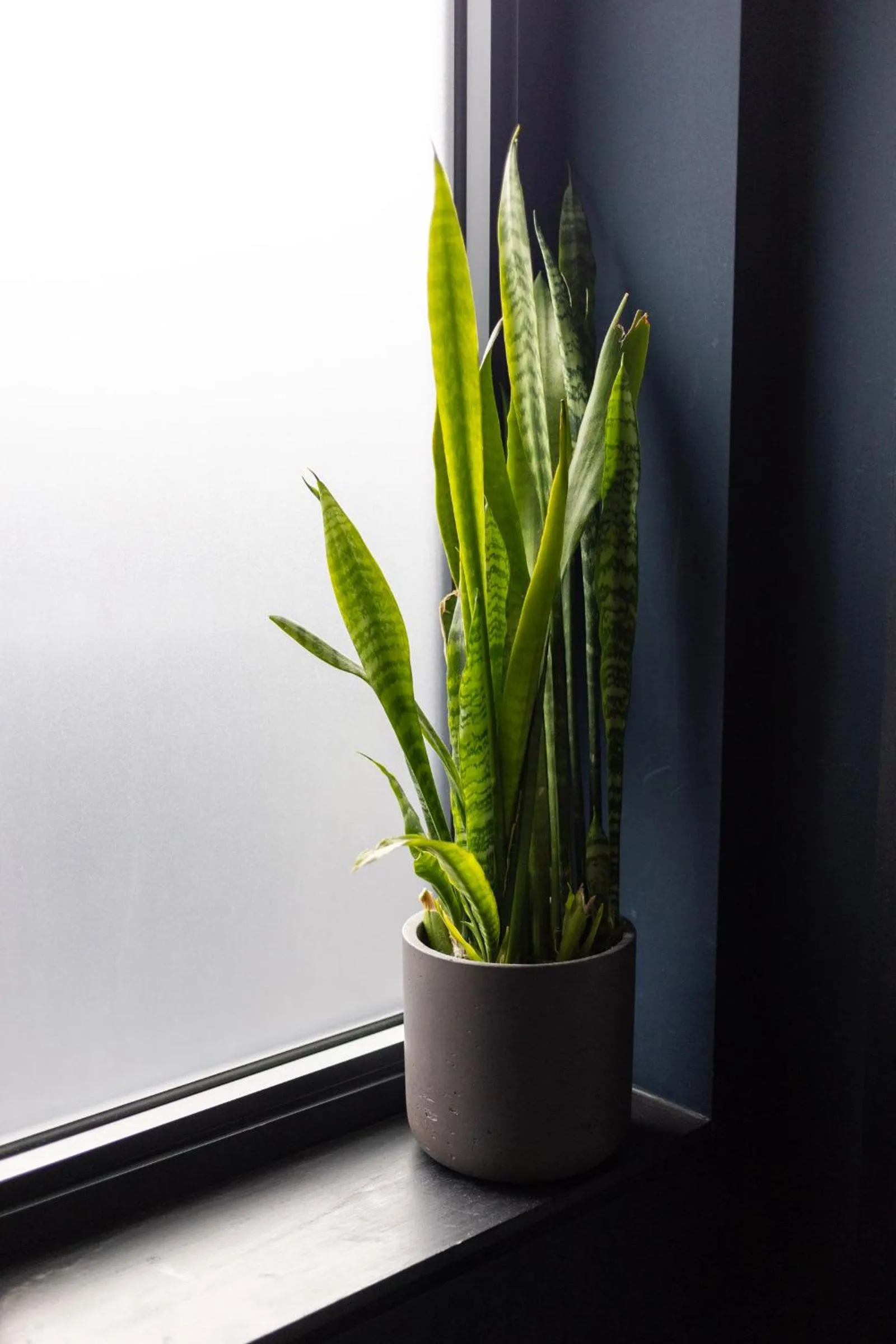 Decorative detail in The Camden Town Hotel