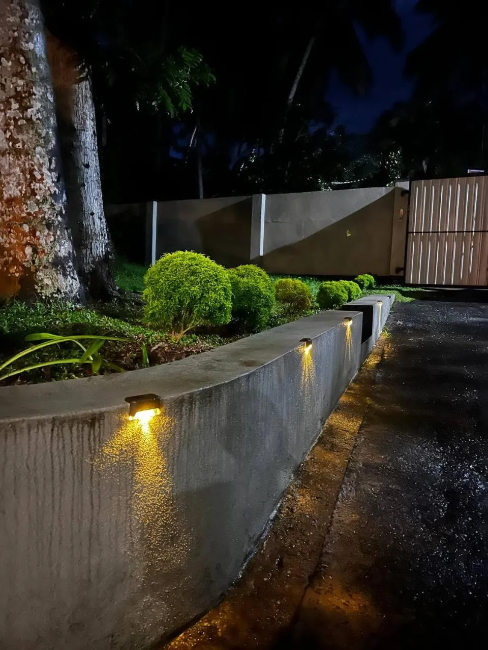 Garden in Urban Galle Villa