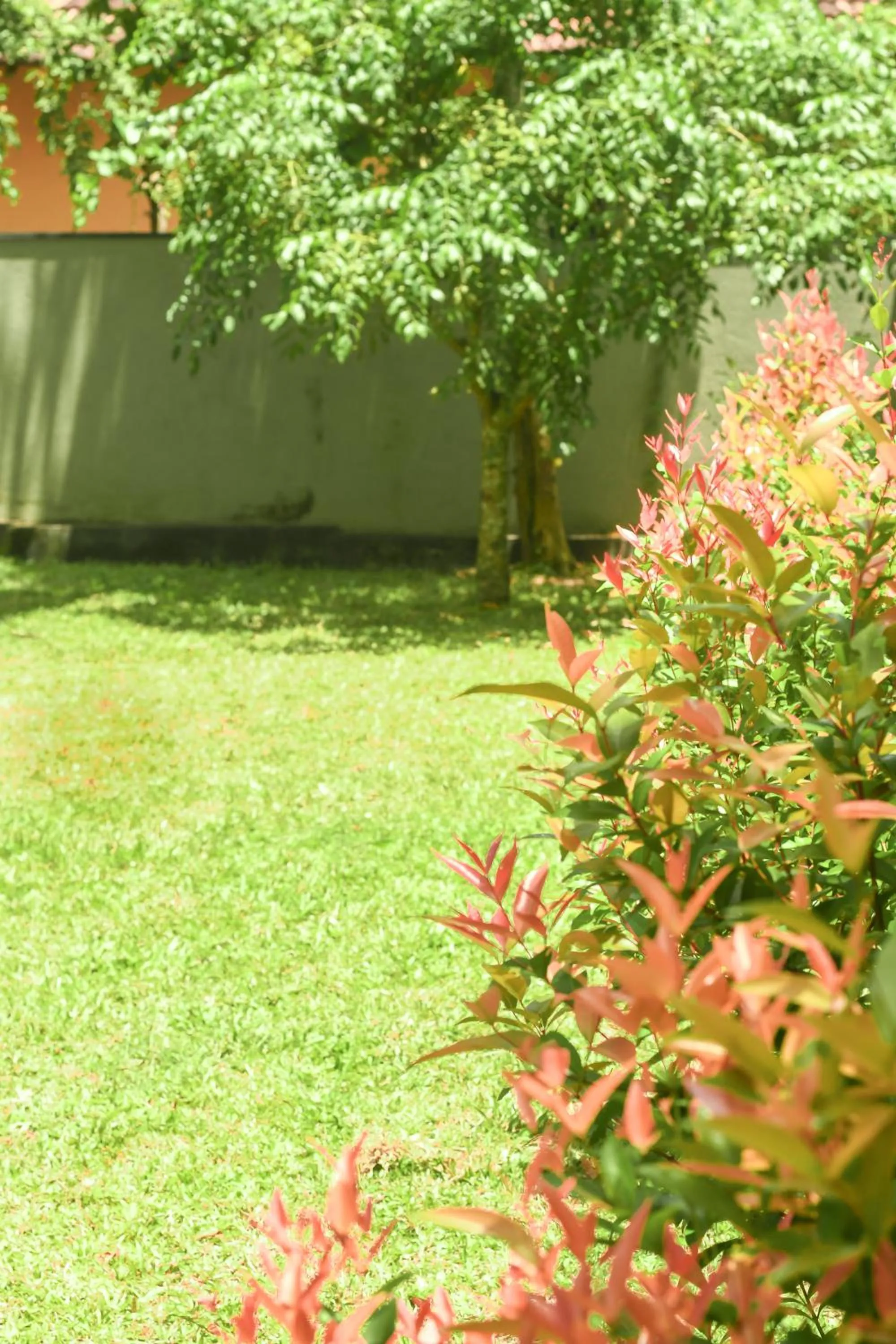 Day in Urban Galle Villa