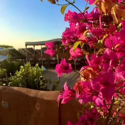 Balcony/Terrace in Palais Aix Kabaj &Spa