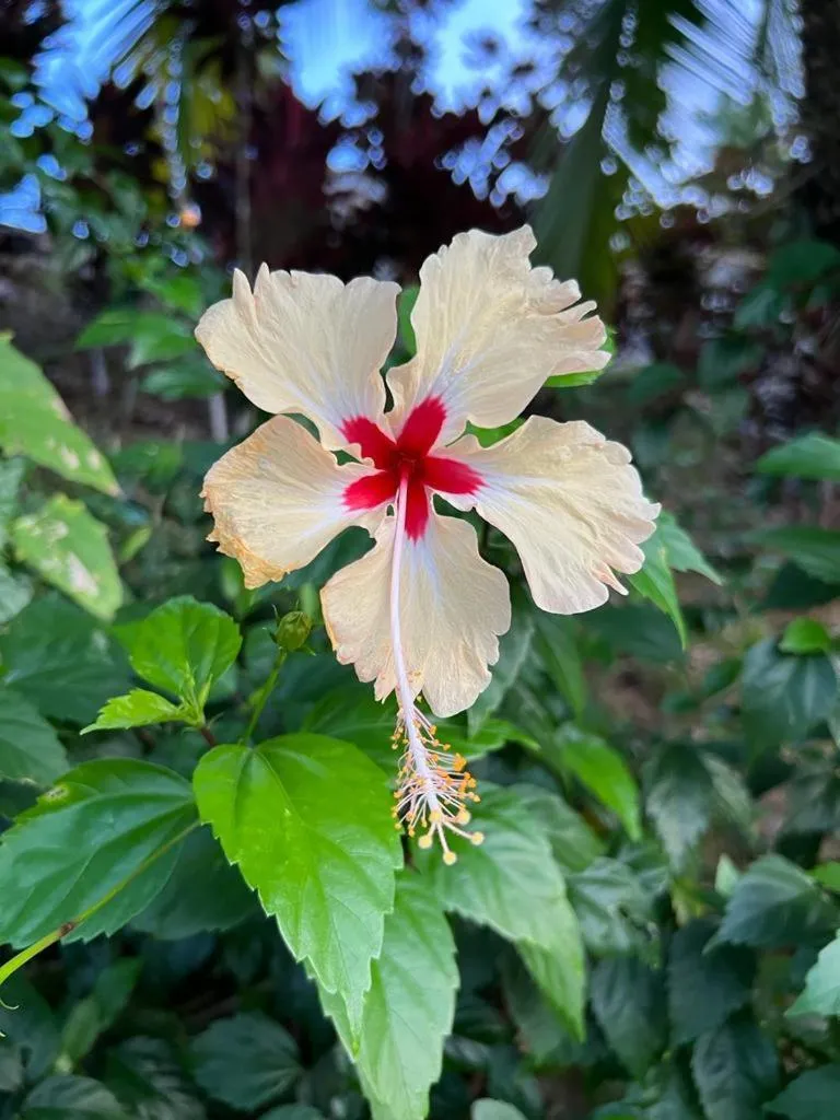Property building in Akwaba Lodge