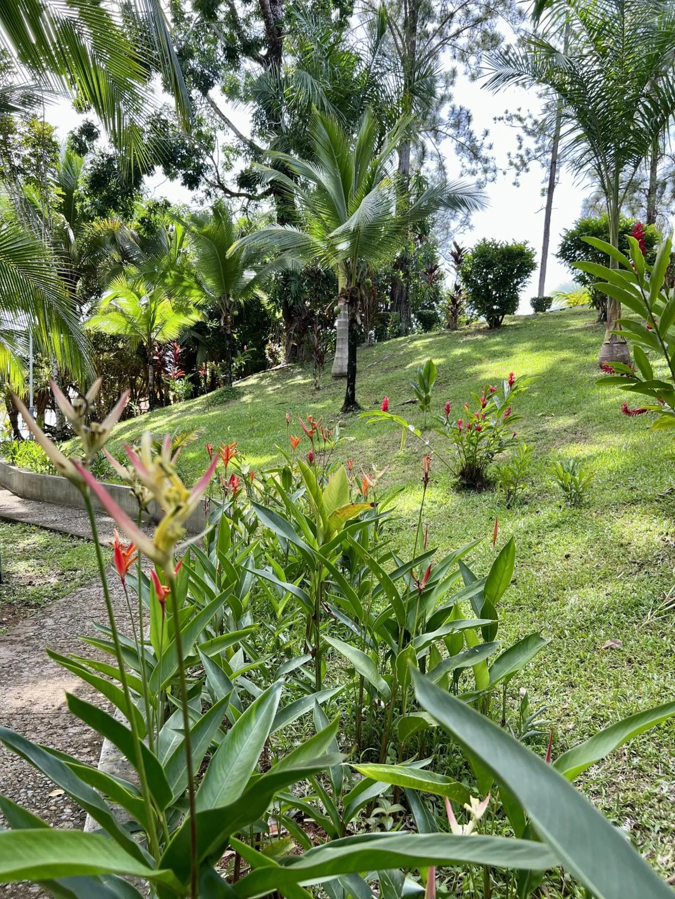 Natural landscape in Akwaba Lodge
