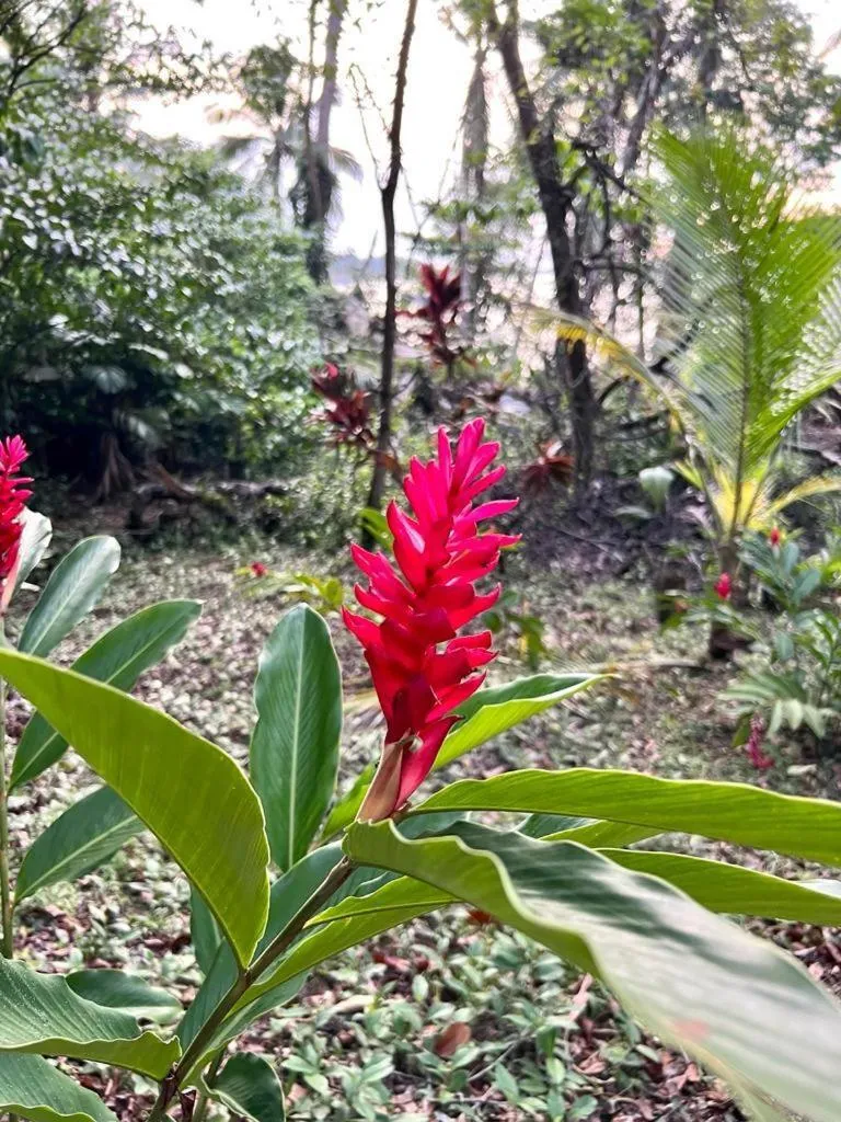 Natural landscape in Akwaba Lodge