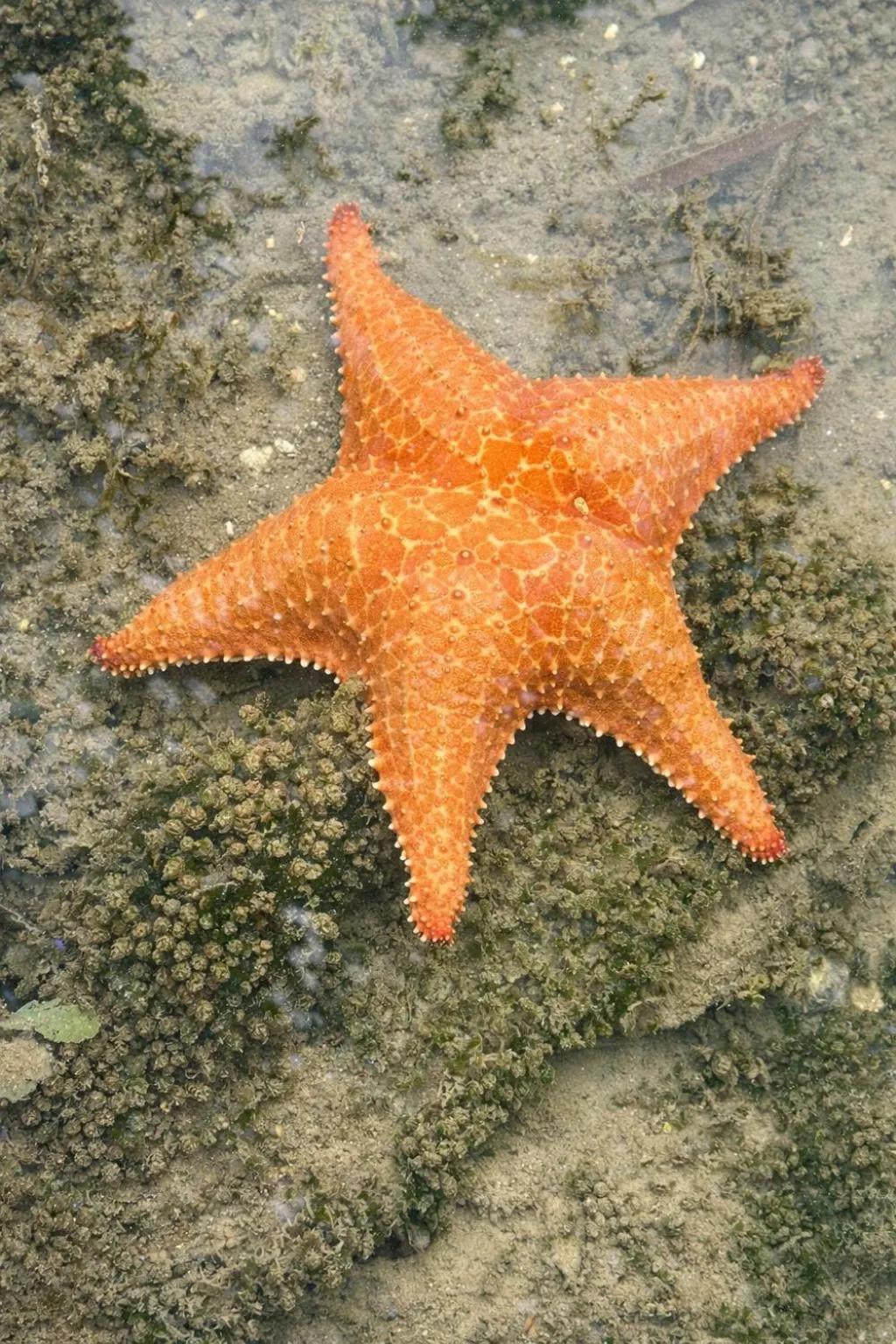 Activities in Akwaba Lodge Island Boutique Hotel