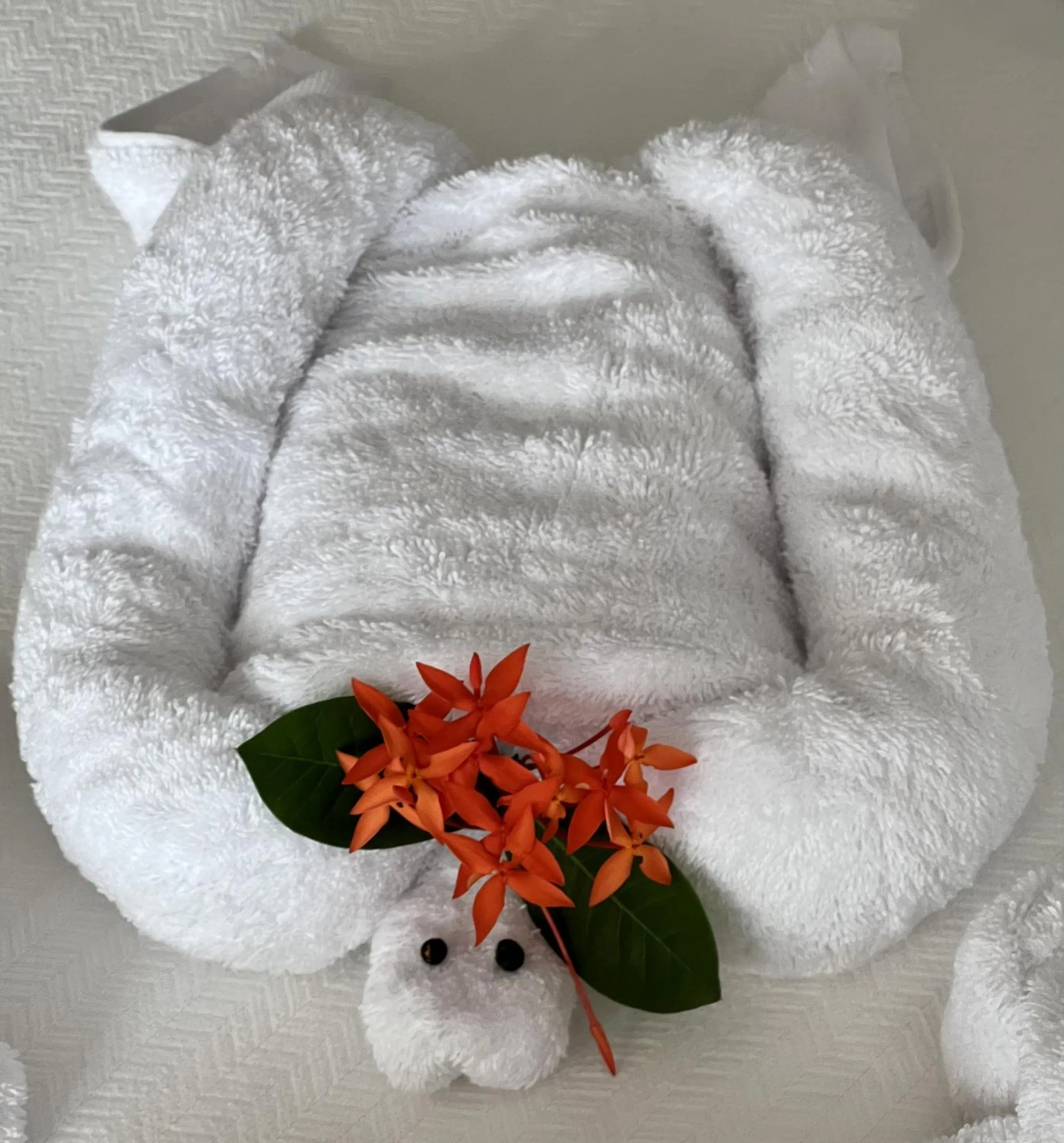 Bedroom in Akwaba Lodge